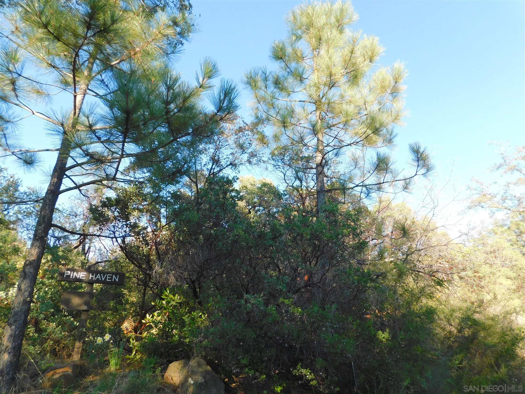 1 Pine Hills Road Julian, CA 92036 - Photo 4 of 19 Gallery Image 4