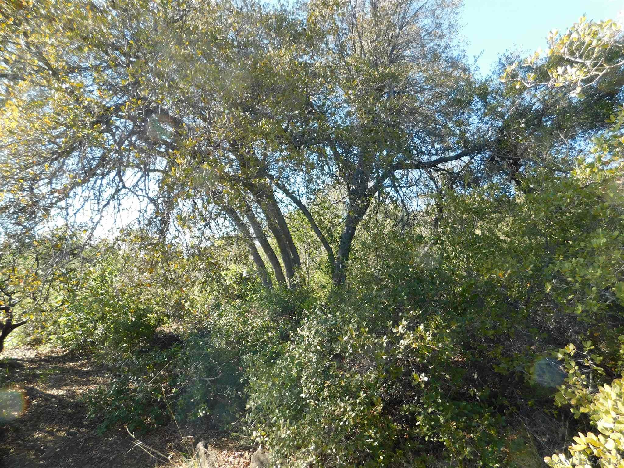 1 Pine Hills Road Julian, CA 92036 - Photo 5 of 19 Gallery Image 5