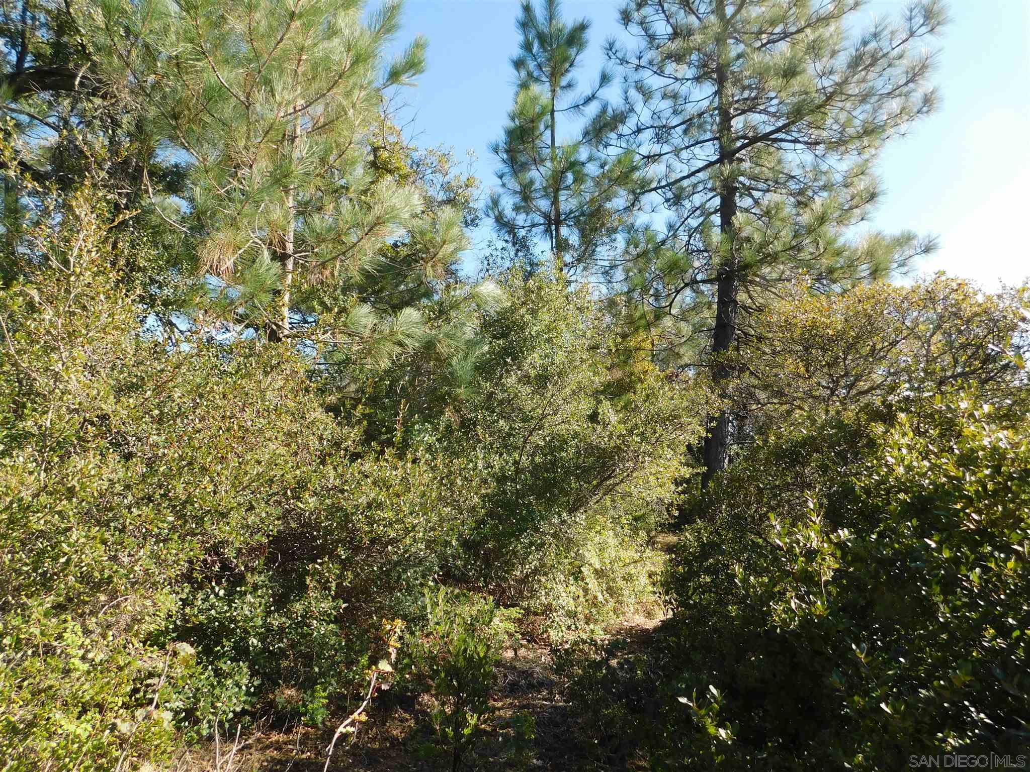 1 Pine Hills Road Julian, CA 92036 - Photo 10 of 19 Gallery Image 10