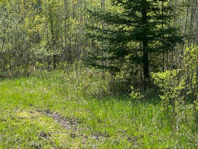 7366 North 47 3/4 Road Manton, MI 49663 - Photo 72 of 78 1911142-72.JPG