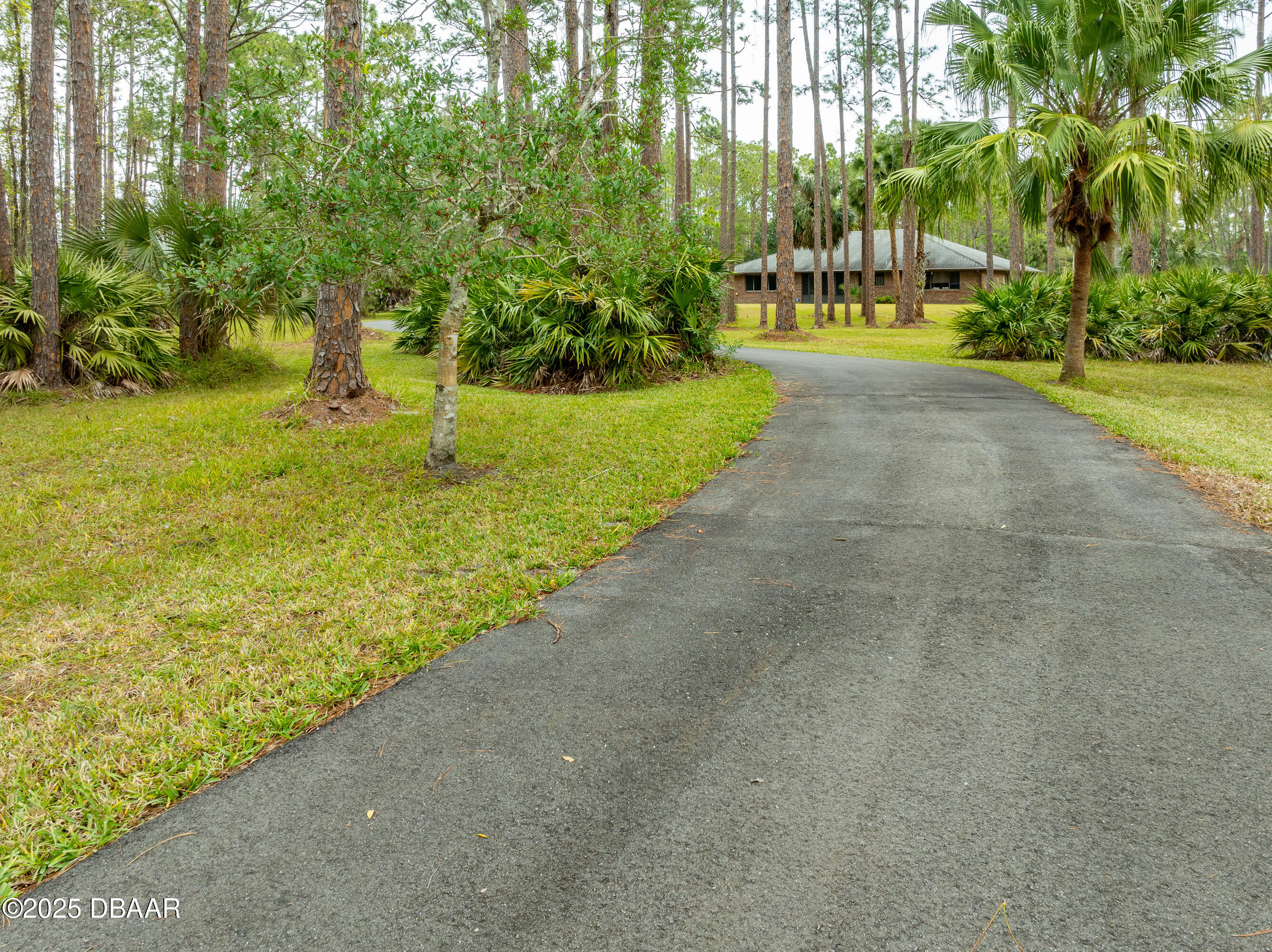 46 Winchester Road Ormond Beach, FL 32174 - Photo 4 of 92 Sweet Private Drive In!