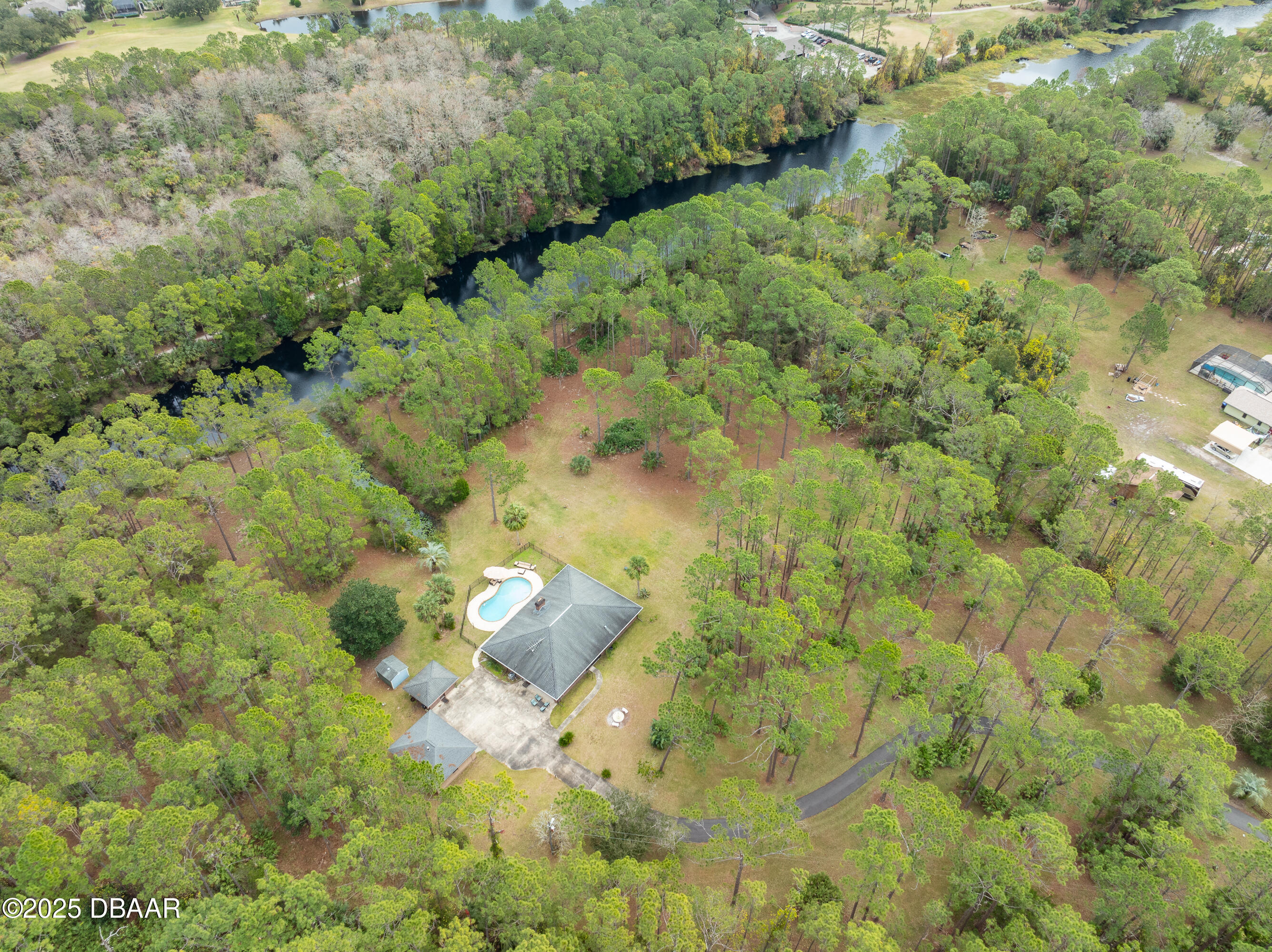 46 Winchester Road Ormond Beach, FL 32174 - Photo 63 of 92 a view of a forest with a tree