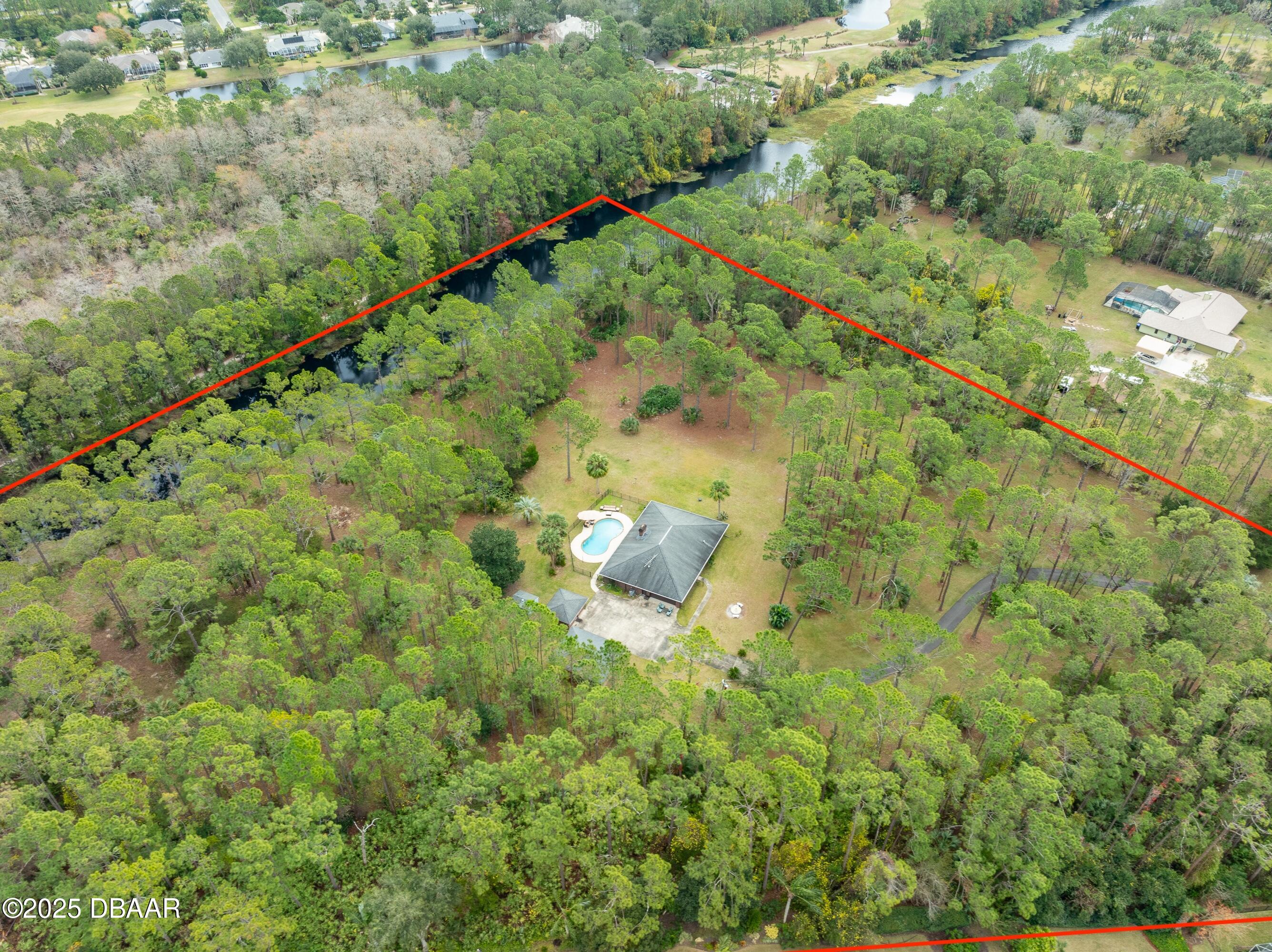 46 Winchester Road Ormond Beach, FL 32174 - Photo 64 of 92 a view of a forest with a lush green forest