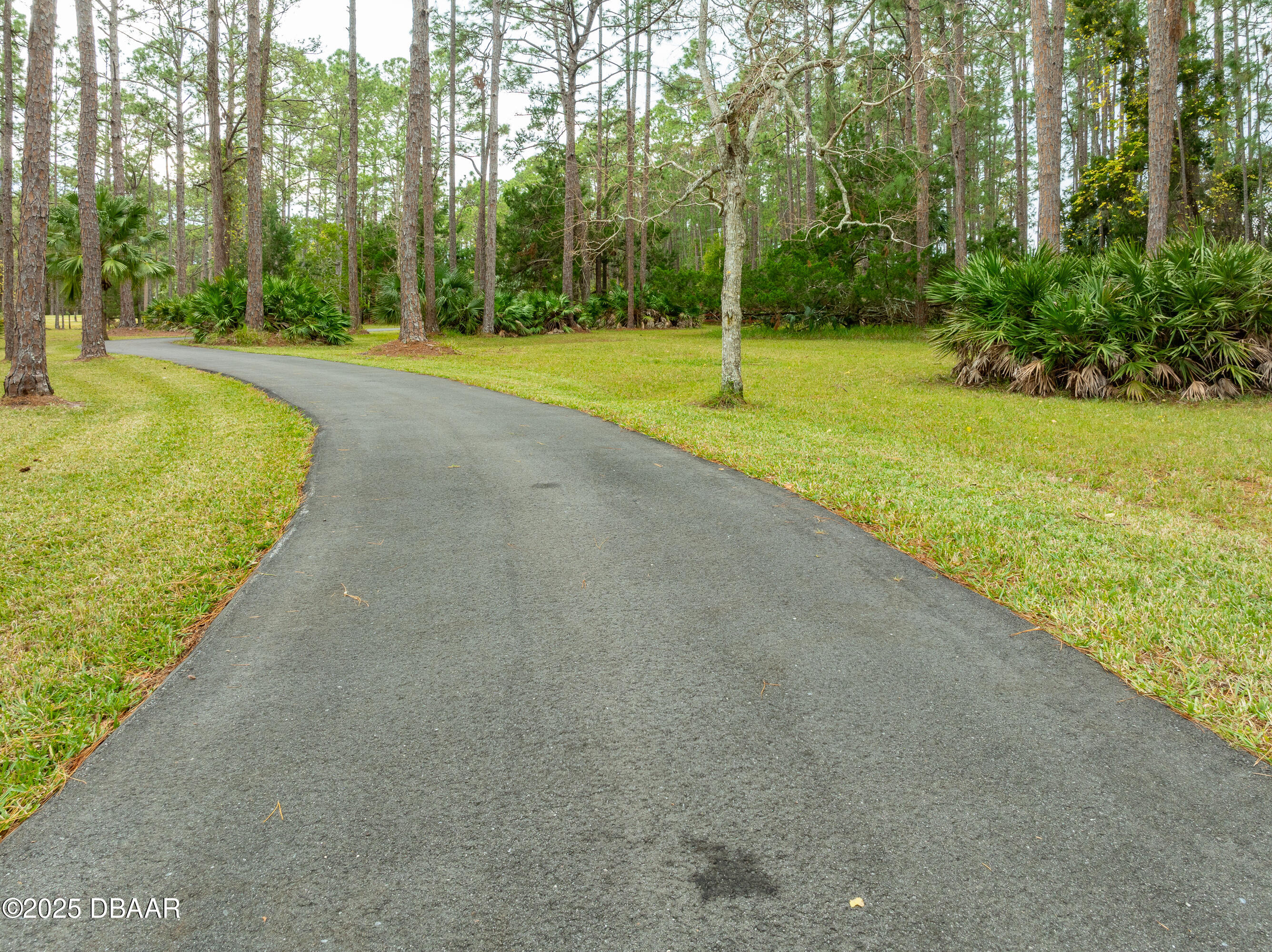 46 Winchester Road Ormond Beach, FL 32174 - Photo 75 of 92 a view of a park with large trees