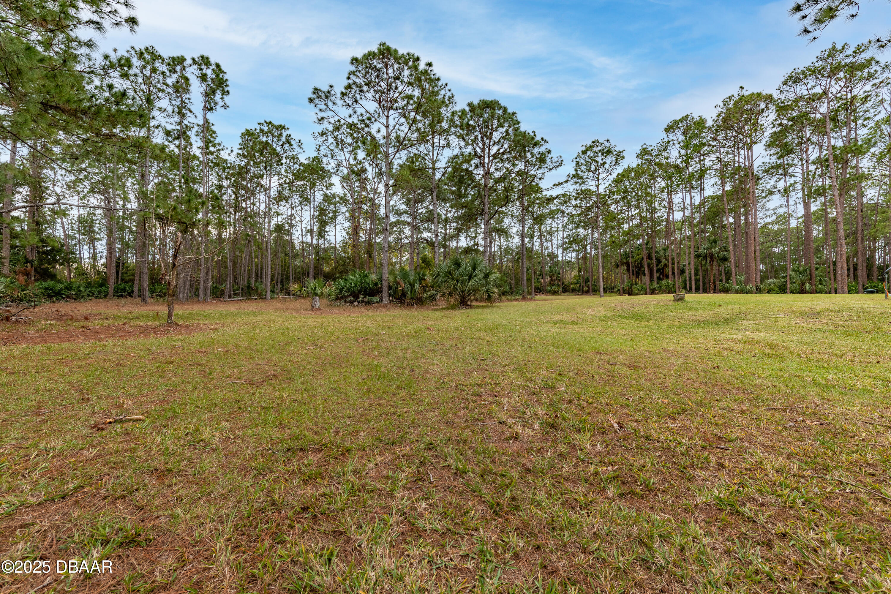 46 Winchester Road Ormond Beach, FL 32174 - Photo 81 of 92 a view of a green field with trees in the background