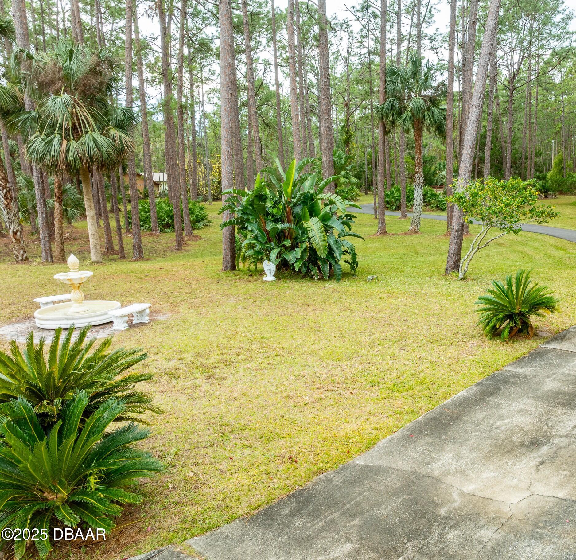 46 Winchester Road Ormond Beach, FL 32174 - Photo 89 of 92 a view of a yard with an outdoor space