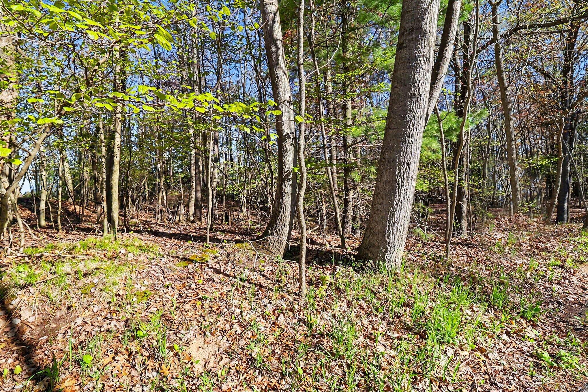 Lot 11 North Silver Ridge Road Mears, MI 49436 - Photo 3 of 25 file_3823