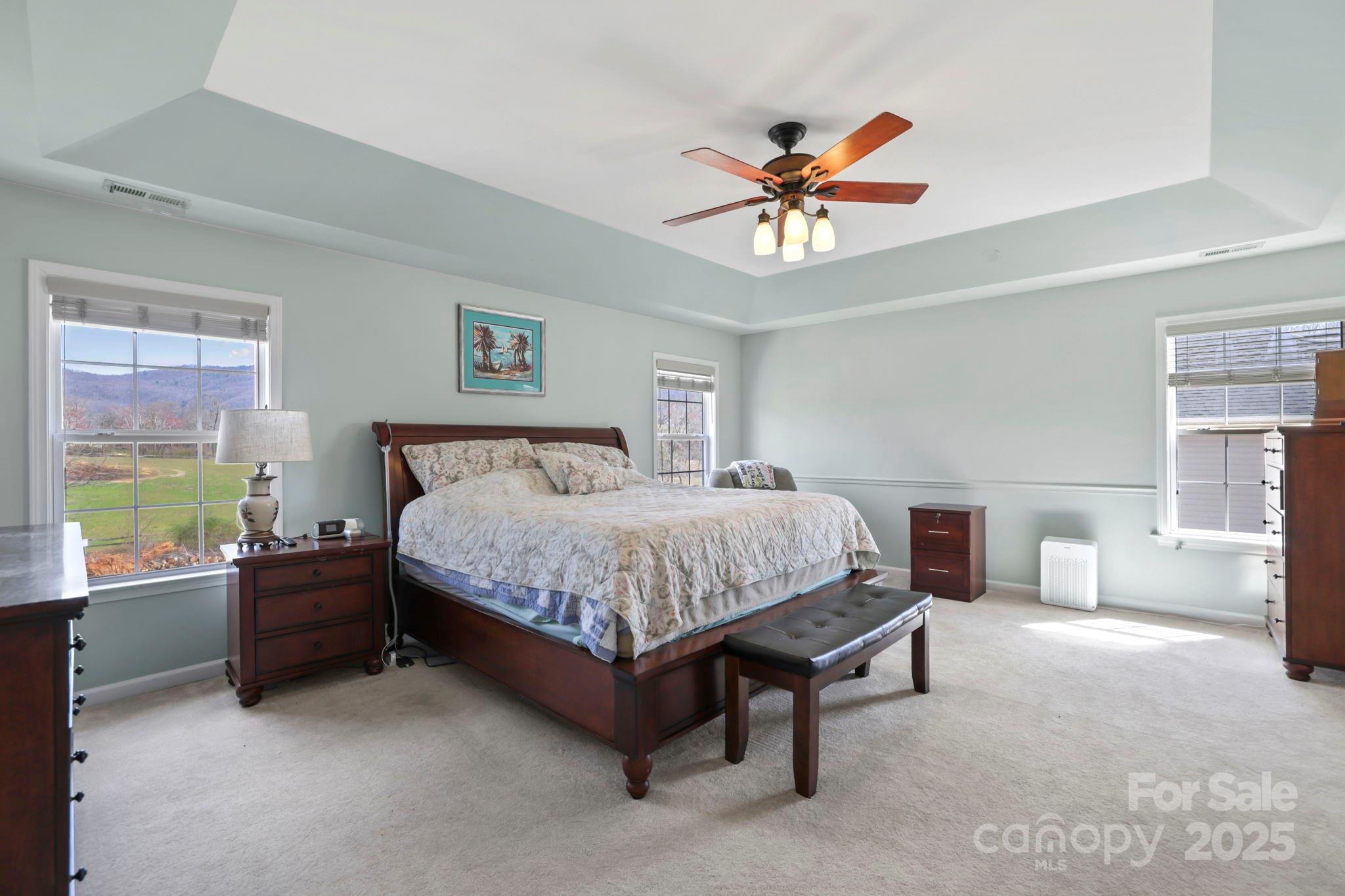 243 Wildbriar Road Fletcher, NC 28732 - Photo 20 of 36 a spacious bedroom with a bed and a chandelier
