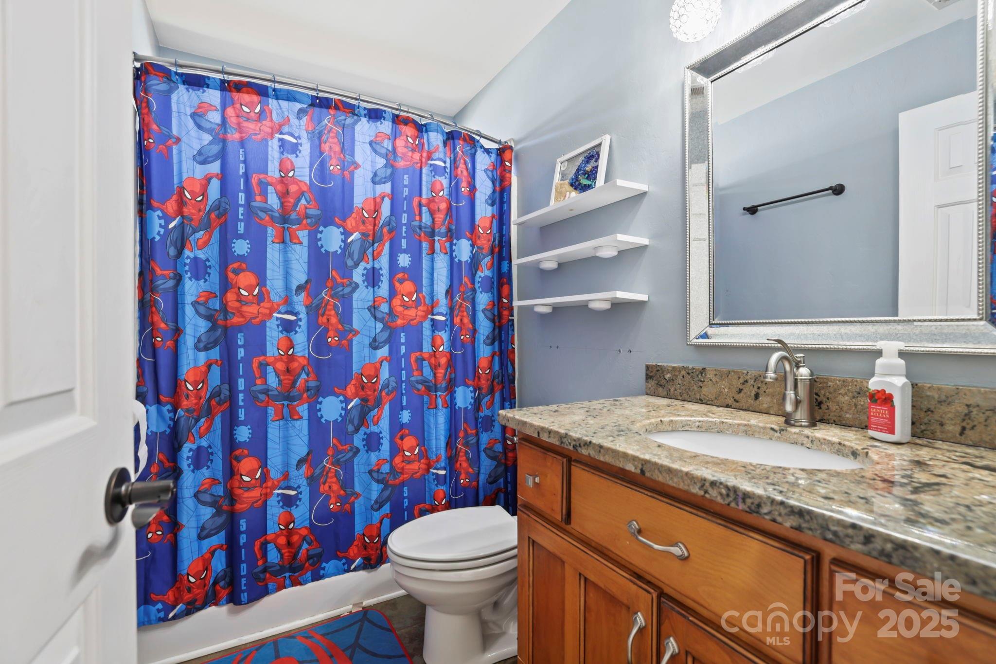 243 Wildbriar Road Fletcher, NC 28732 - Photo 27 of 36 a bathroom with a granite countertop sink and a toilet