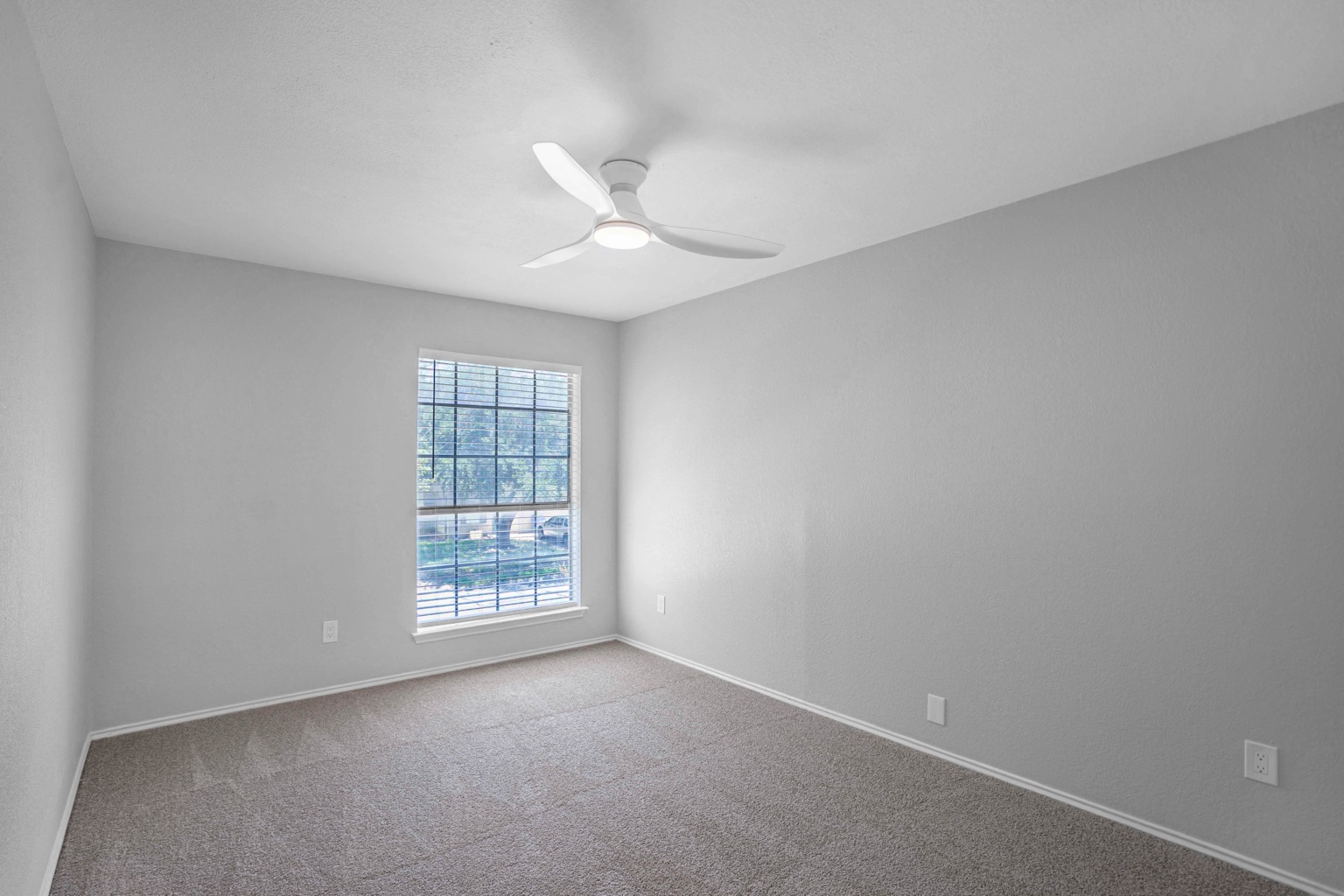 800 Smoke Signal Pass Pflugerville, TX 78660 - Photo 9 of 40 A well-lit bedroom features plush carpeting and a large window for ample natural light.