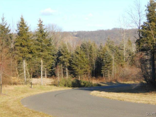 0 Evergreen Road Riegelsville, PA 18077 - Photo 6 of 8