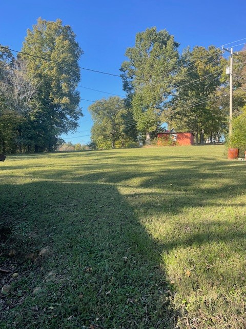 111 Swift Lane Cunningham, TN 37052 - Photo 4 of 10