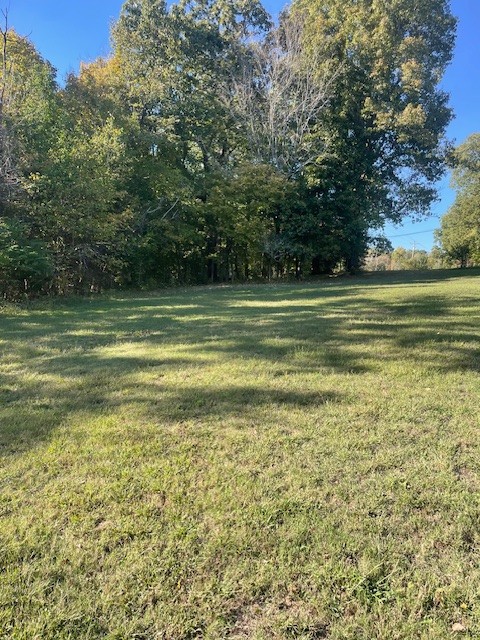 111 Swift Lane Cunningham, TN 37052 - Photo 8 of 10