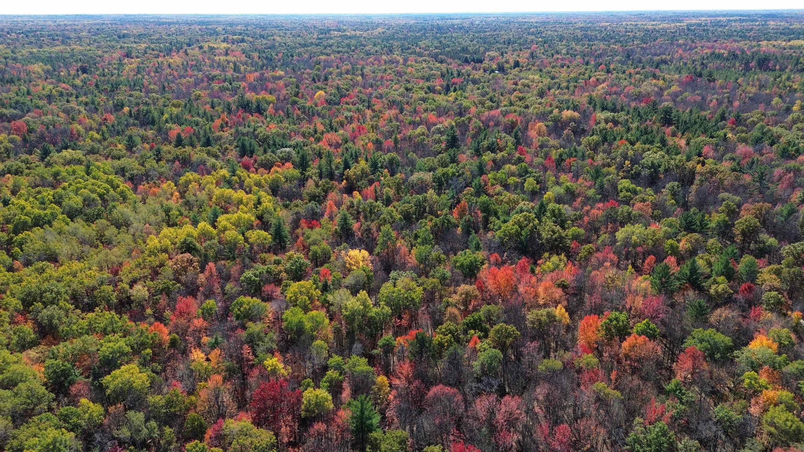 0 Timber Trail Prescott, MI 48756 - Photo 13 of 44