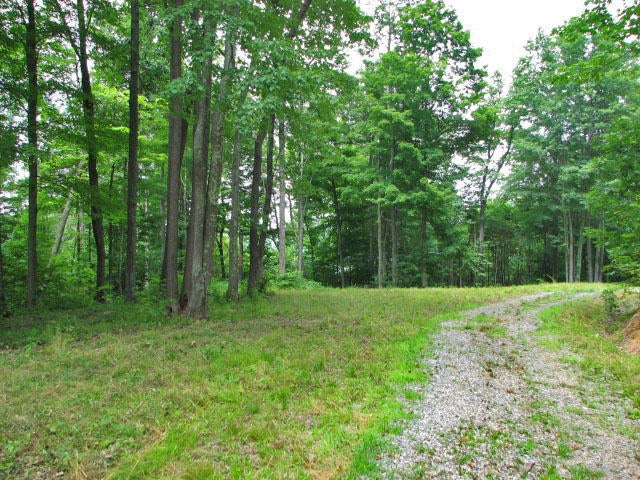 Mill Road Sandstone, WV 25985 - Photo 4 of 13 Gallery Image 4