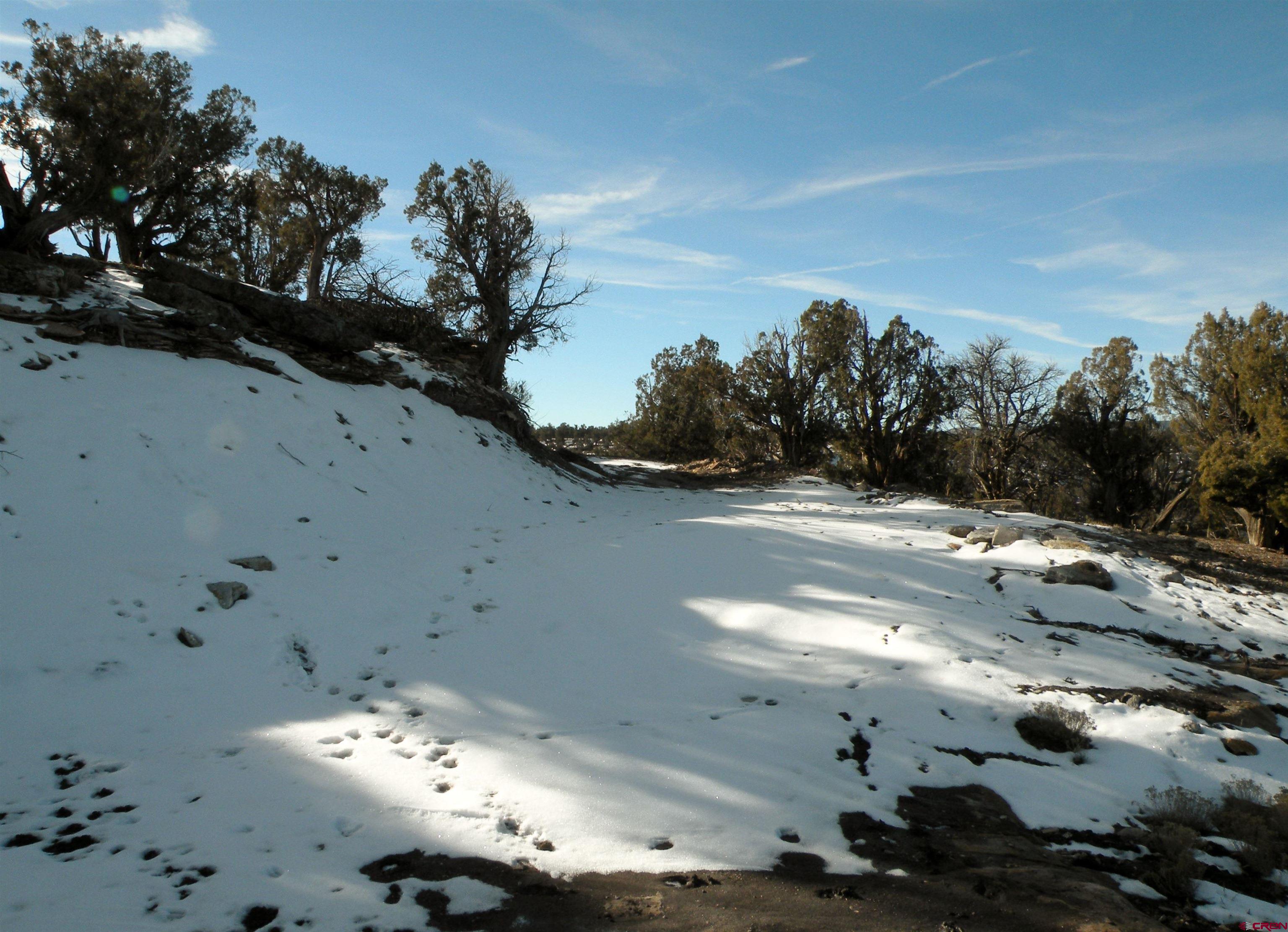 33000 Ff31 Road Redvale, CO 81431 - Photo 13 of 15 a view of a yard of a house