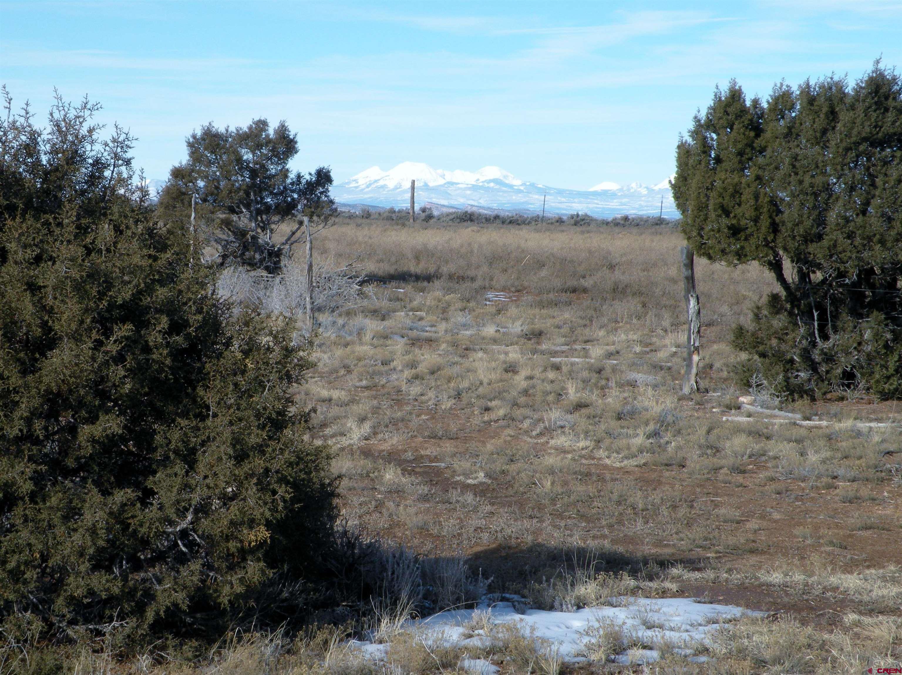 33000 Ff31 Road Redvale, CO 81431 - Photo 10 of 15 a view of a lake from a yard