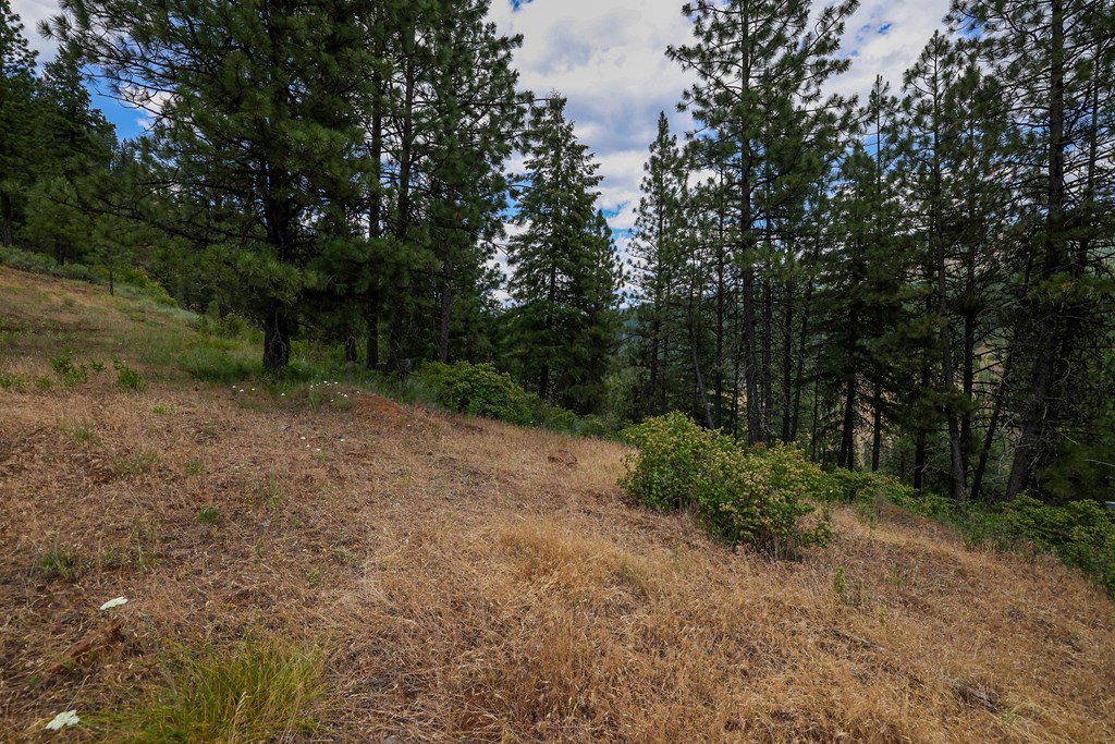 Tbd Hillman Basin Road New Meadows, ID 83654 - Photo 19 of 39 Xtra storage