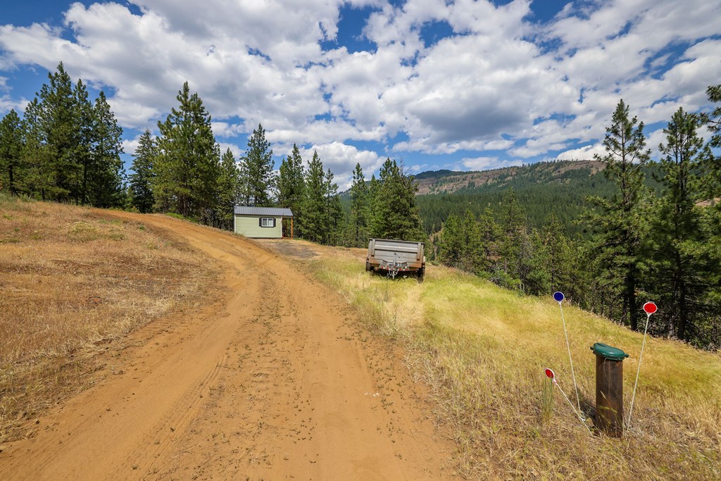 Tbd Hillman Basin Road New Meadows, ID 83654 - Photo 24 of 39