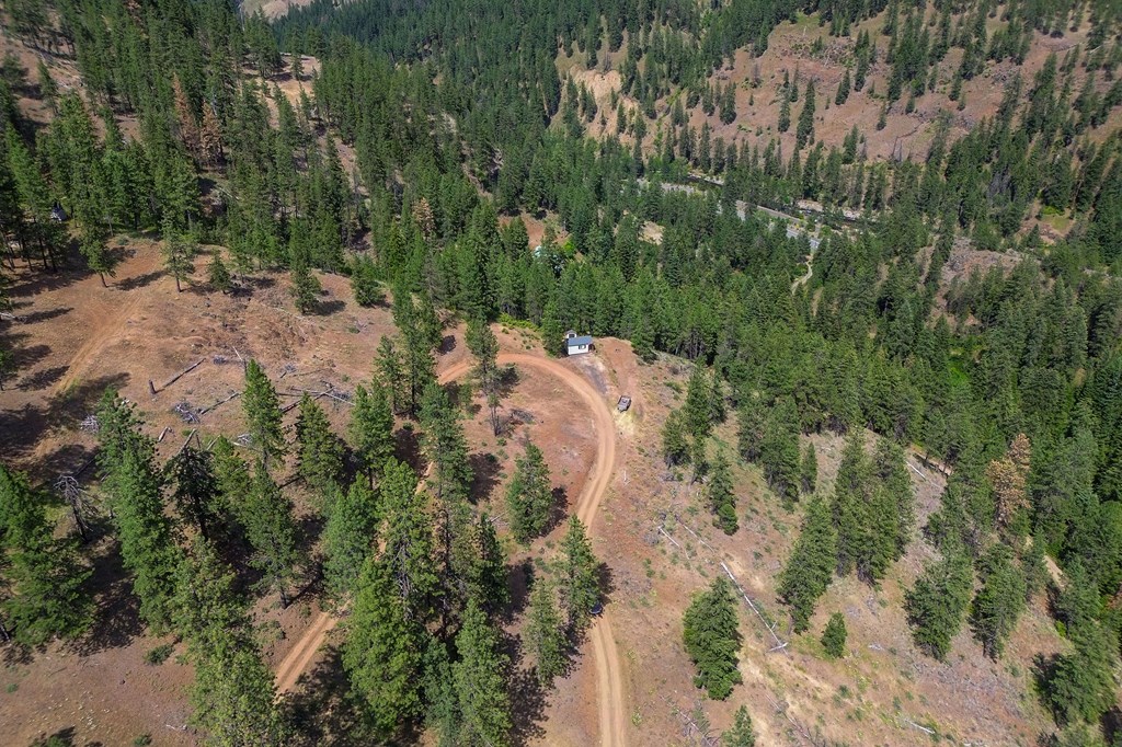 Tbd Hillman Basin Road New Meadows, ID 83654 - Photo 25 of 39
