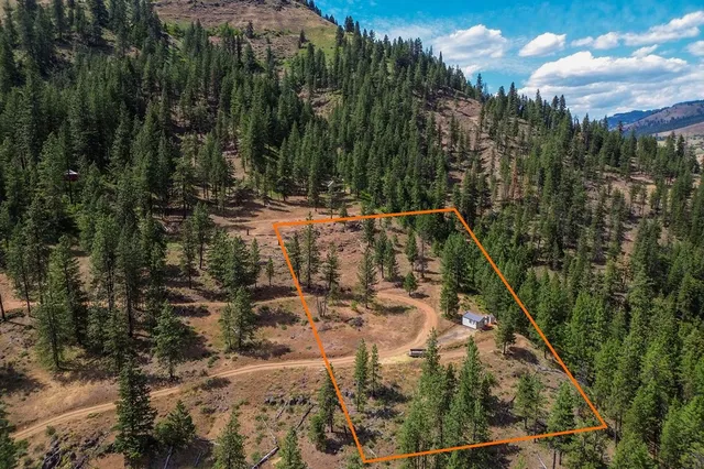 $199,000 | Tbd Hillman Basin Road, New Meadows, ID 83654