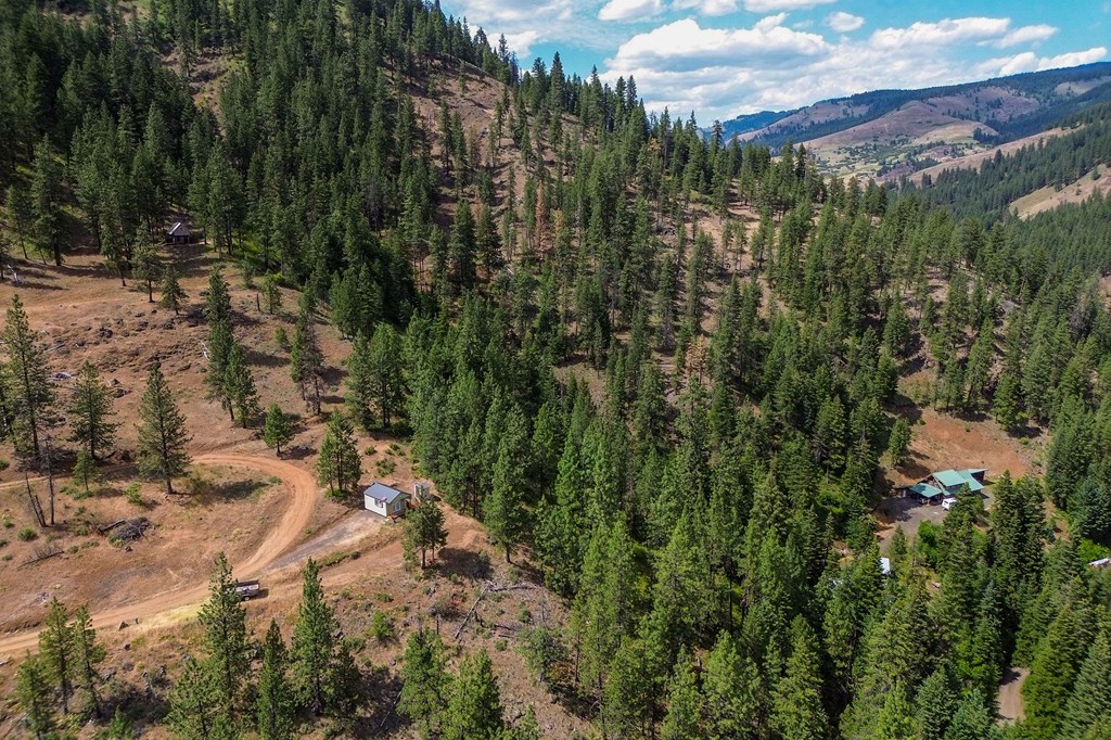 Tbd Hillman Basin Road New Meadows, ID 83654 - Photo 28 of 39 Little Salmon River and Hwy 95 close by