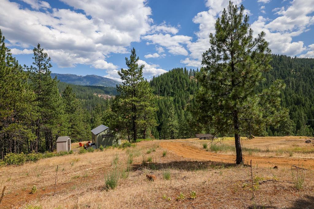 Tbd Hillman Basin Road New Meadows, ID 83654 - Photo 35 of 39