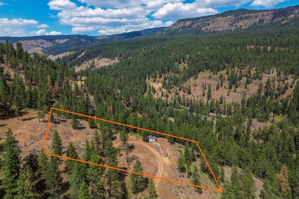 Tbd Hillman Basin Road New Meadows, ID 83654 - Photo 7 of 39