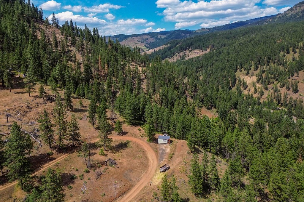 Tbd Hillman Basin Road New Meadows, ID 83654 - Photo 8 of 39
