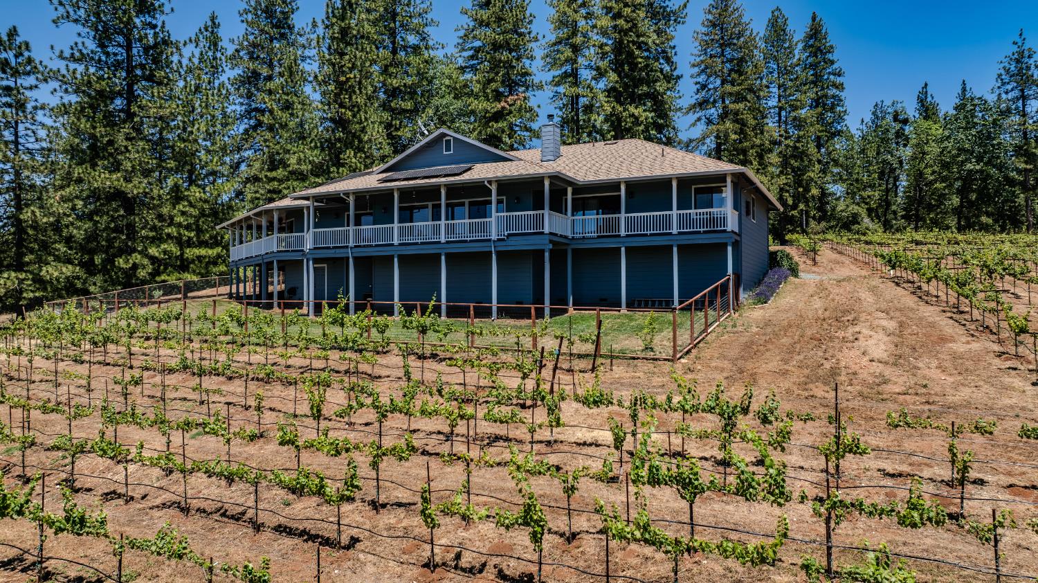 18591 Ponderosa Hills Road Volcano, CA 95689 - Photo 30 of 92