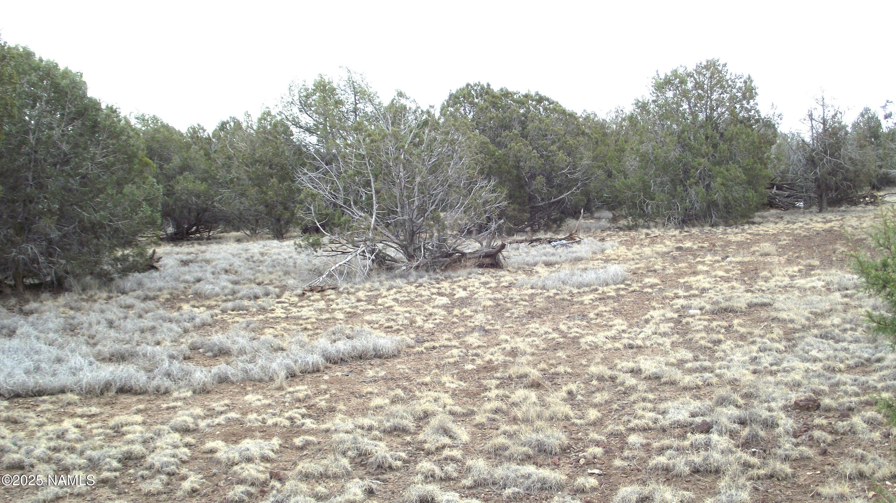 7525 Red Butte Road Williams, AZ 86046 - Photo 22 of 61 DSCF7340