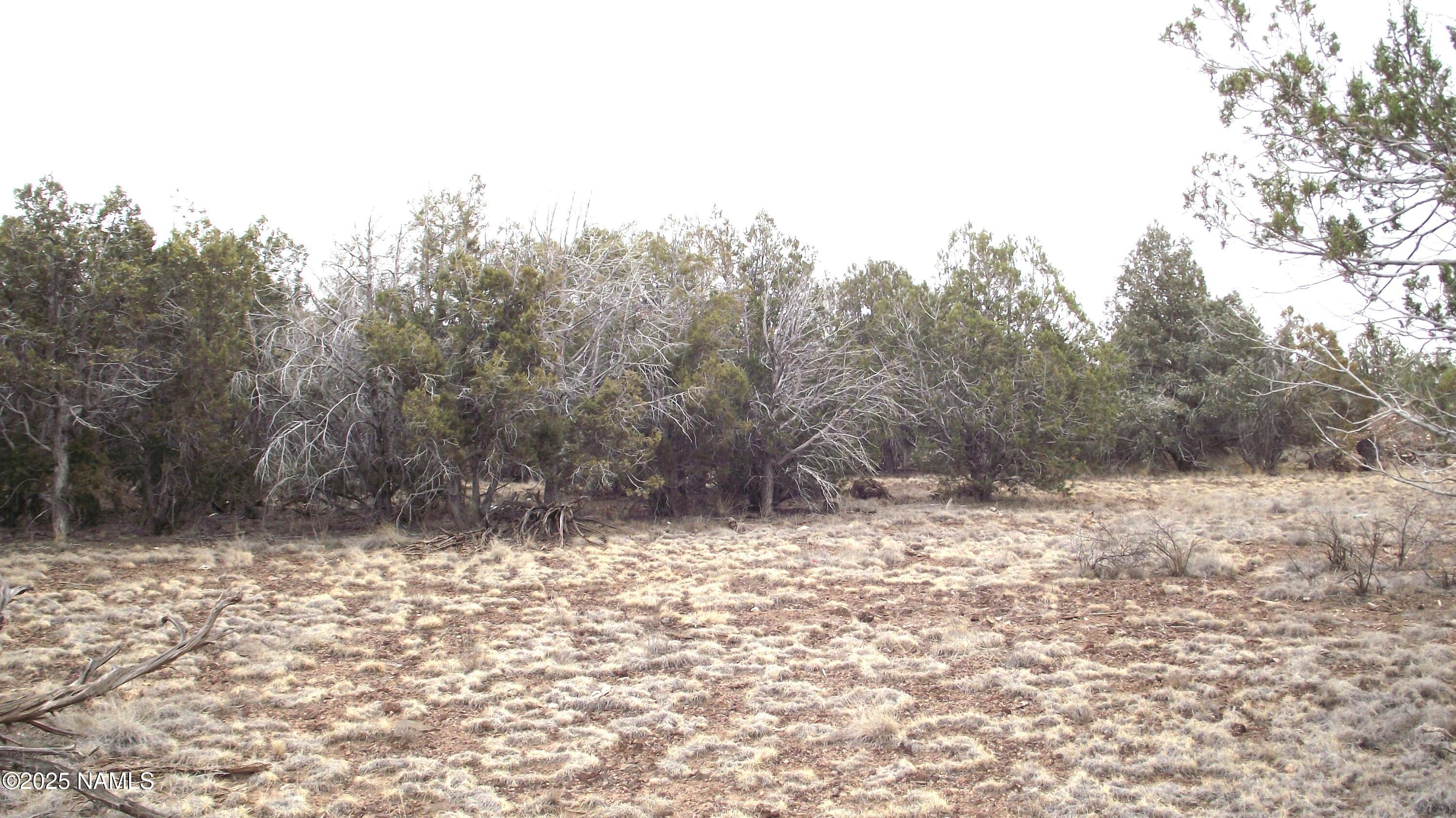 7525 Red Butte Road Williams, AZ 86046 - Photo 23 of 61 DSCF7343