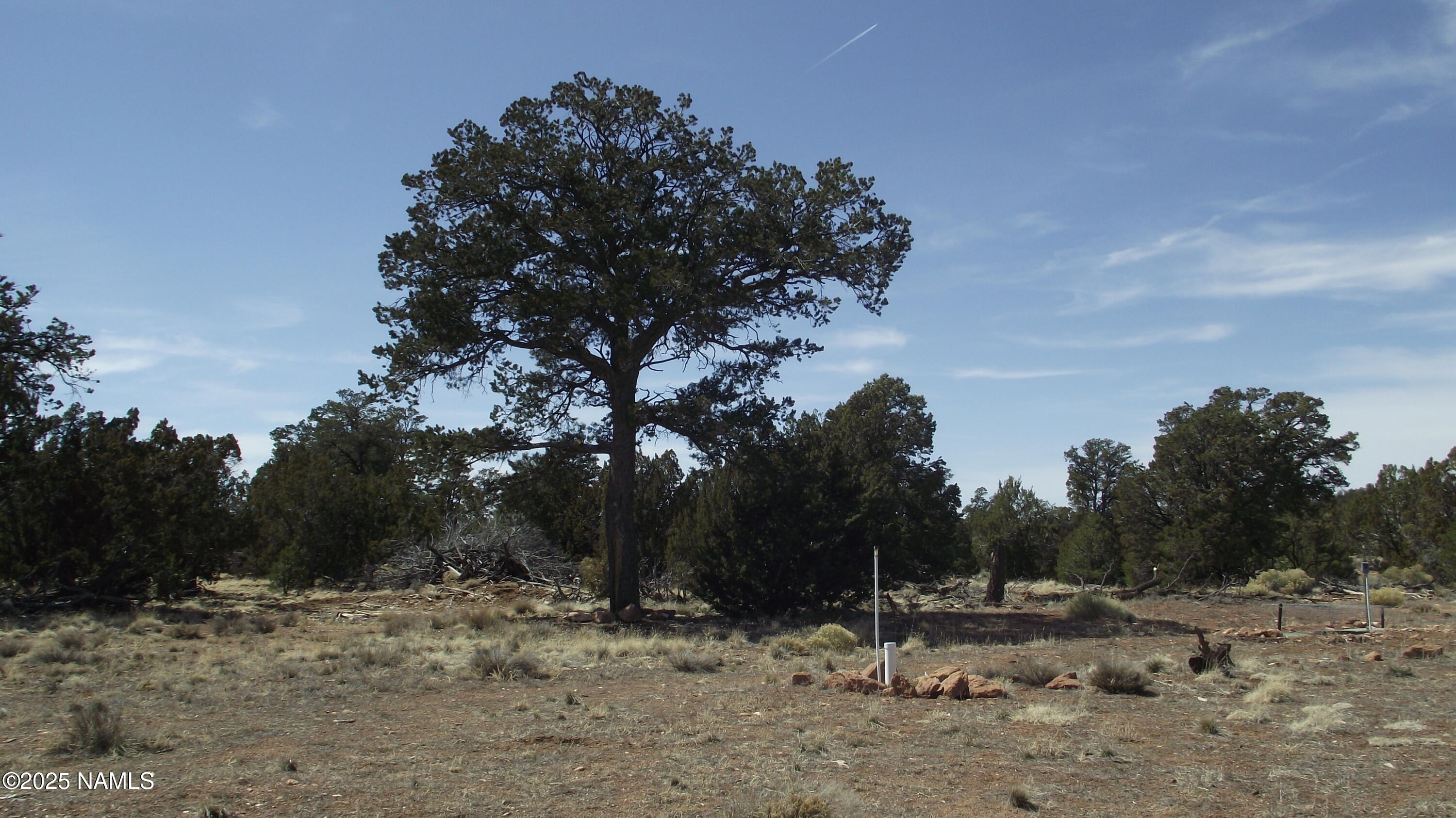 7525 Red Butte Road Williams, AZ 86046 - Photo 24 of 61 DSCF7352