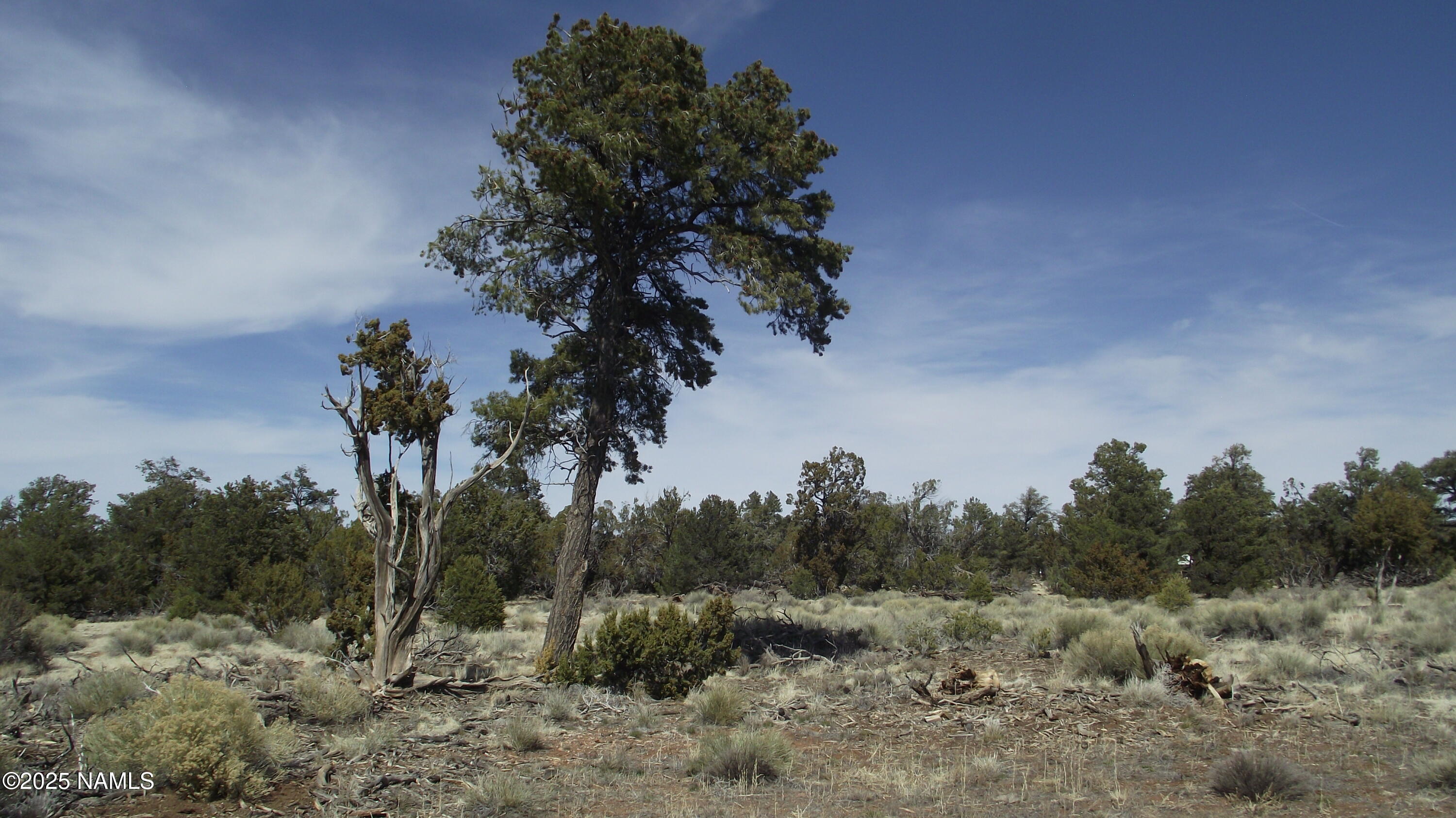 7525 Red Butte Road Williams, AZ 86046 - Photo 25 of 61 DSCF7355