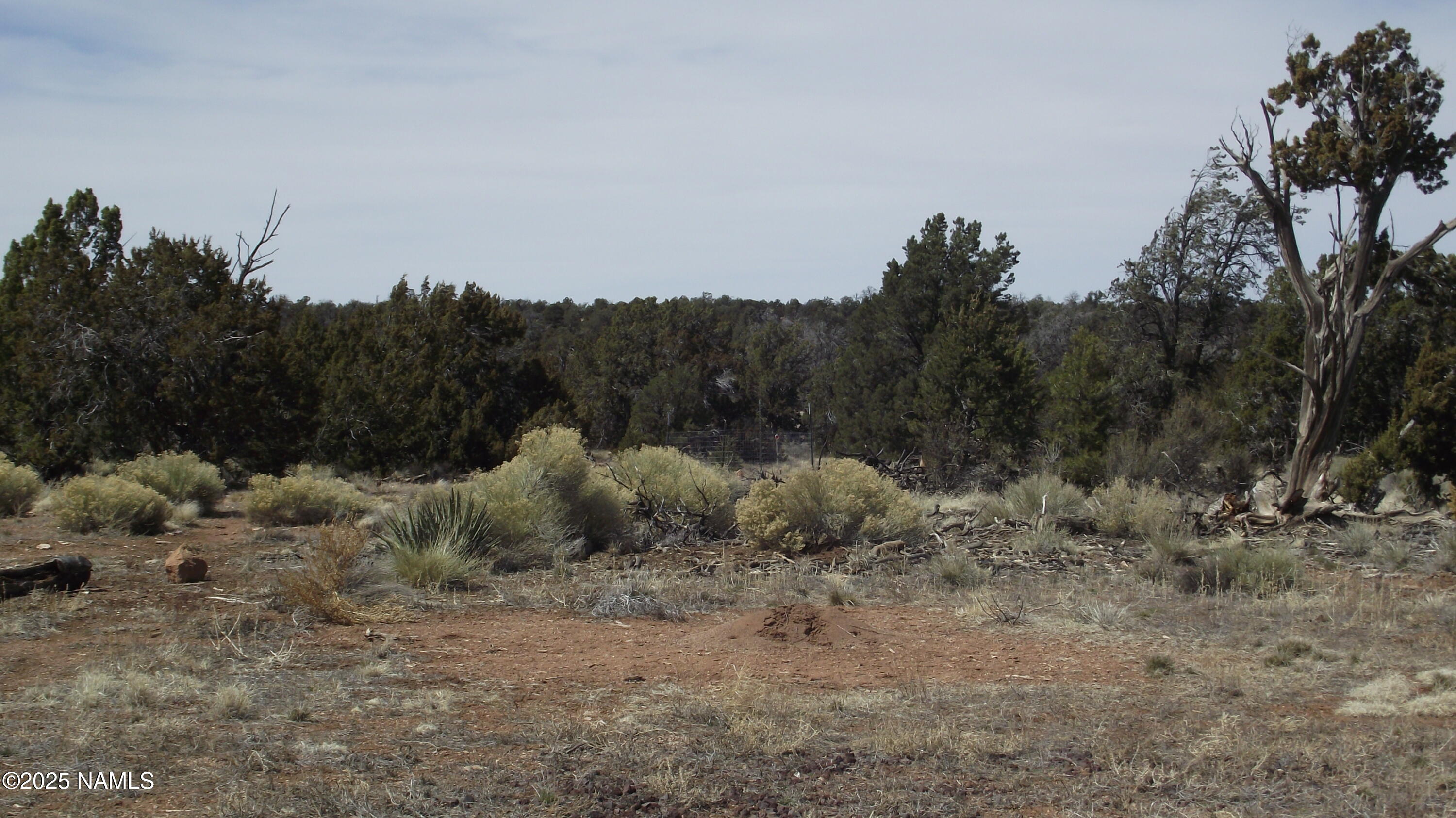 7525 Red Butte Road Williams, AZ 86046 - Photo 26 of 61 DSCF7353