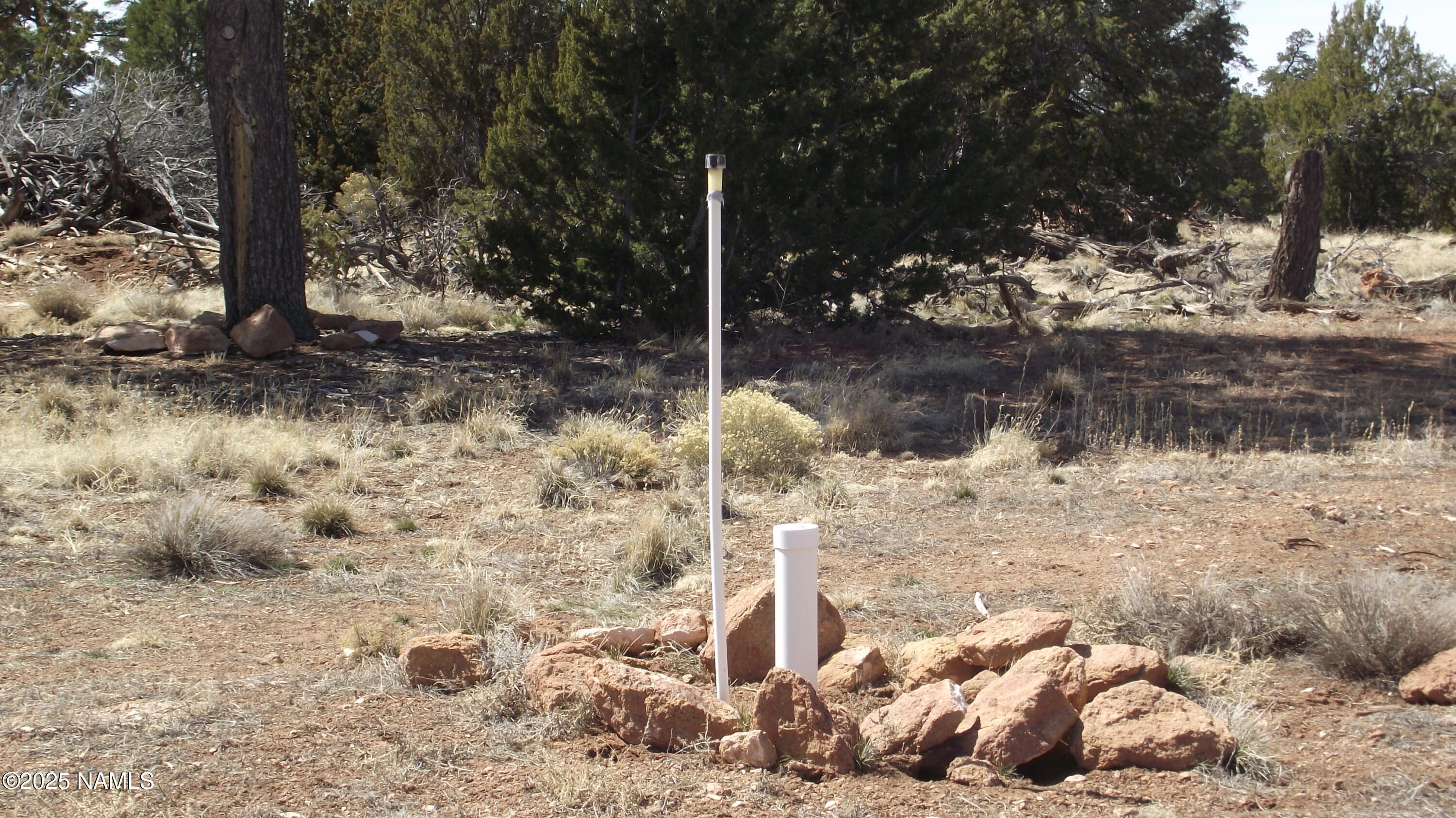 7525 Red Butte Road Williams, AZ 86046 - Photo 27 of 61 DSCF7354