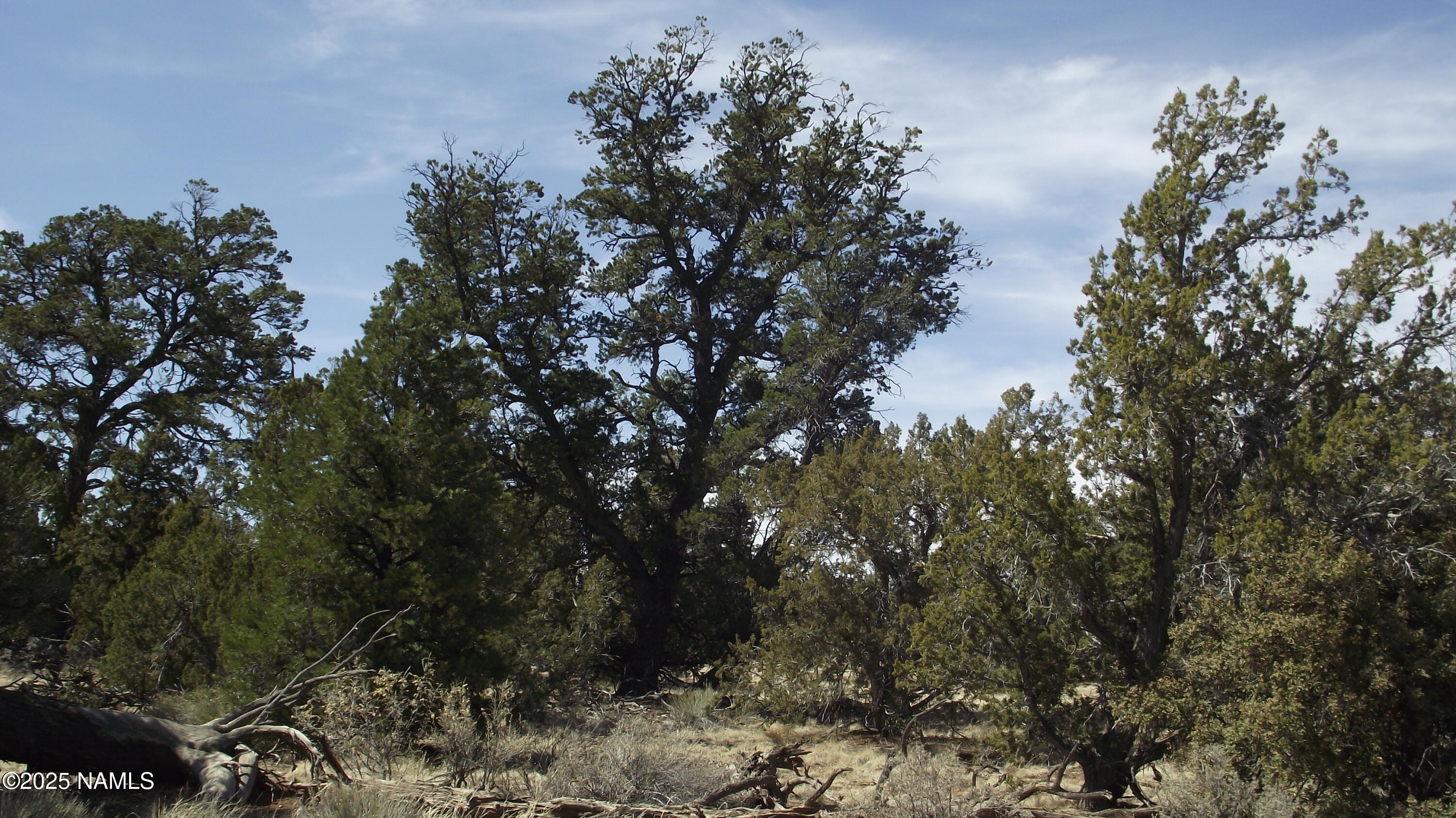 7525 Red Butte Road Williams, AZ 86046 - Photo 37 of 61 DSCF7375