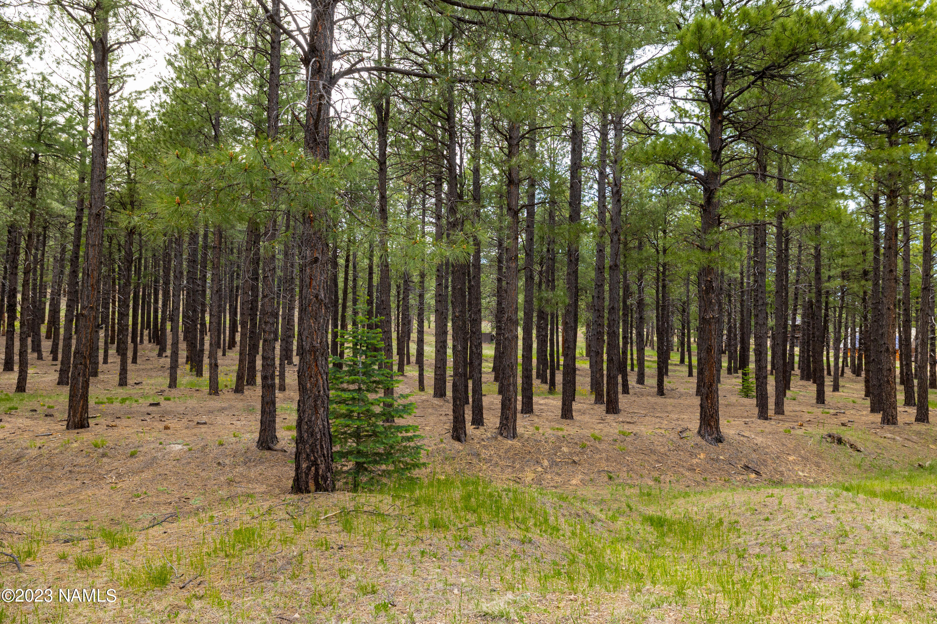 1842 Deer Pass Road Williams, AZ 86046 - Photo 41 of 109 CP-2