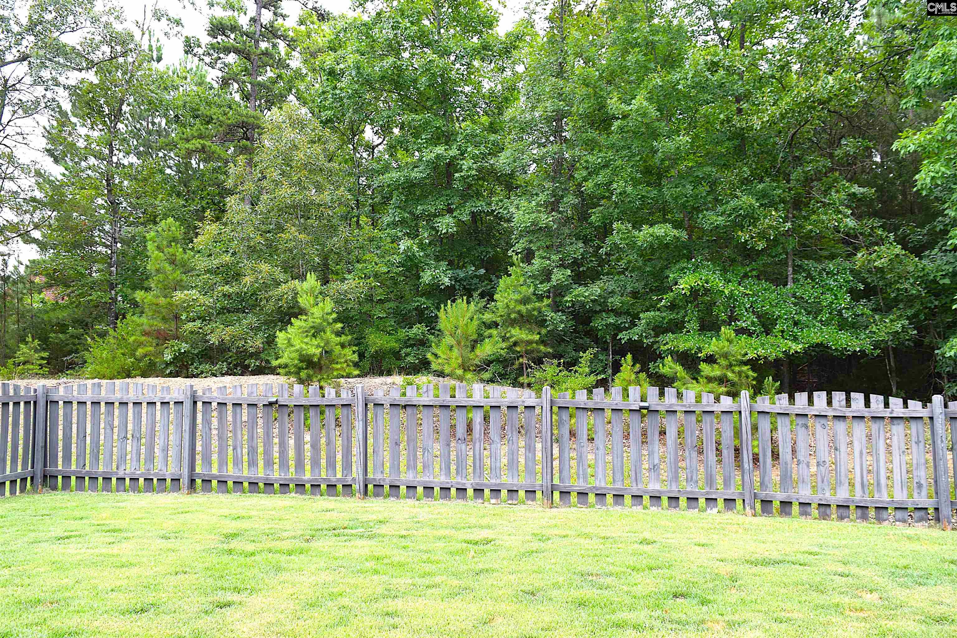 435 Serene Court Irmo, SC 29063 - Photo 33 of 39