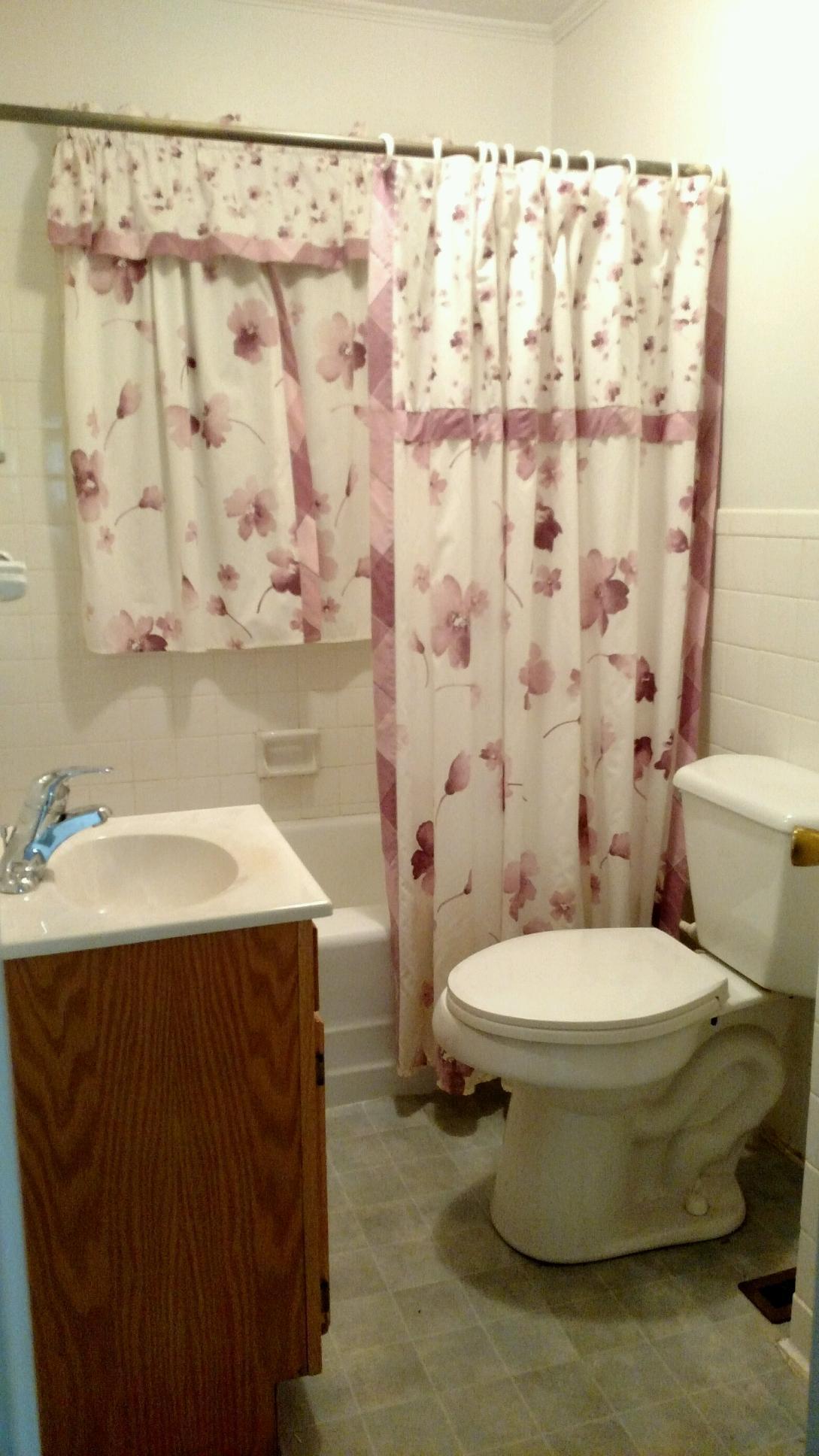 170 Tub Springs Road Harriman, TN 37748 - Photo 24 of 32 Full Bath