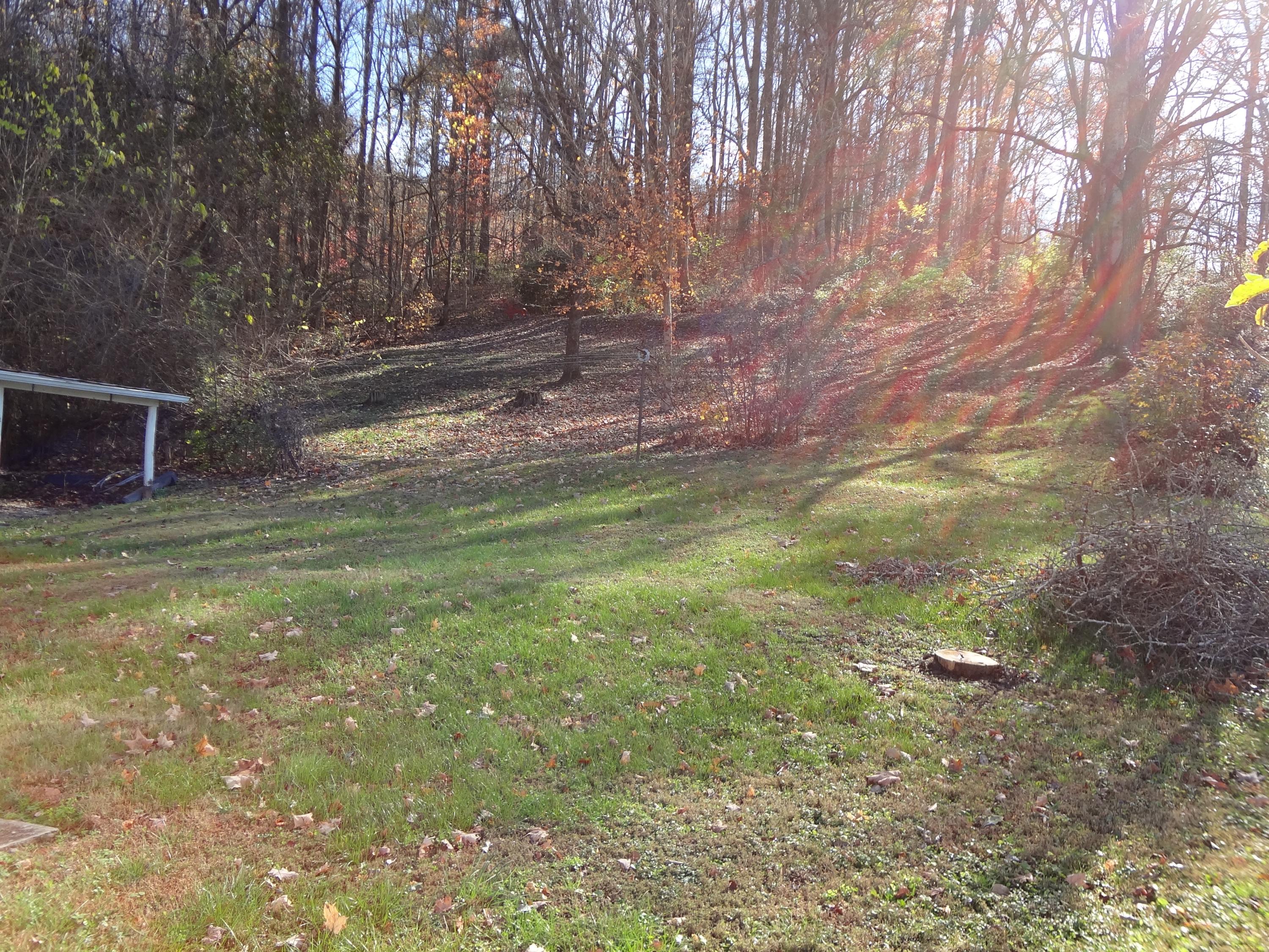 170 Tub Springs Road Harriman, TN 37748 - Photo 9 of 32 Back yard