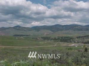 45 Hamilton Loop Winthrop, WA 98862 - Photo 1 of 1 Gallery Image 1