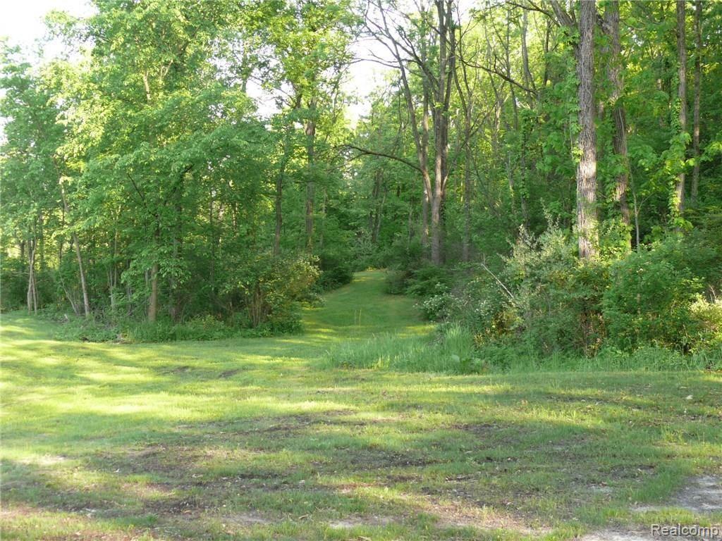 V/l V/l Doyle Road Pinckney, MI 48169 - Photo 22 of 24