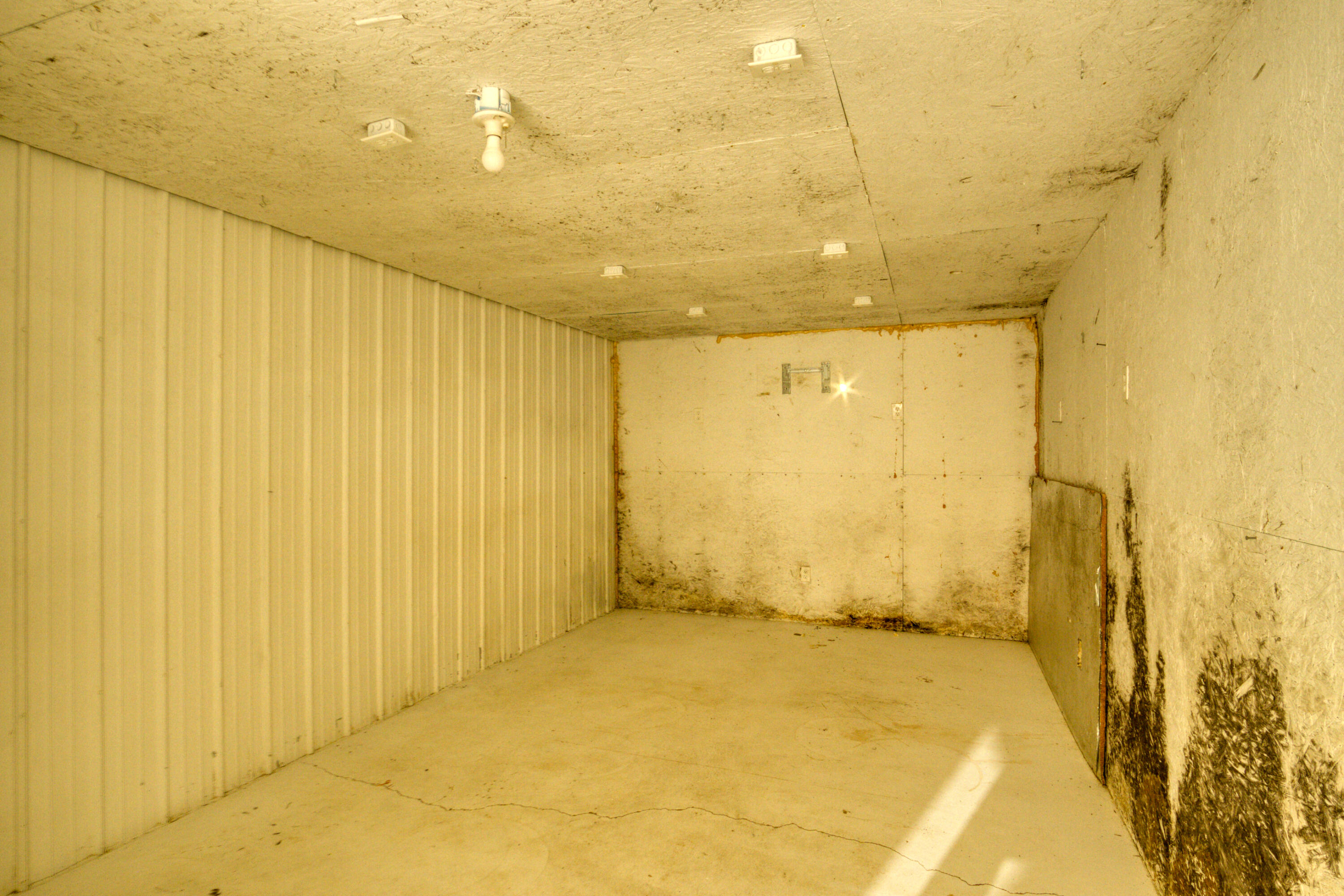 8271 Lakola Road Tustin, MI 49688 - Photo 42 of 52 DSC08639_45