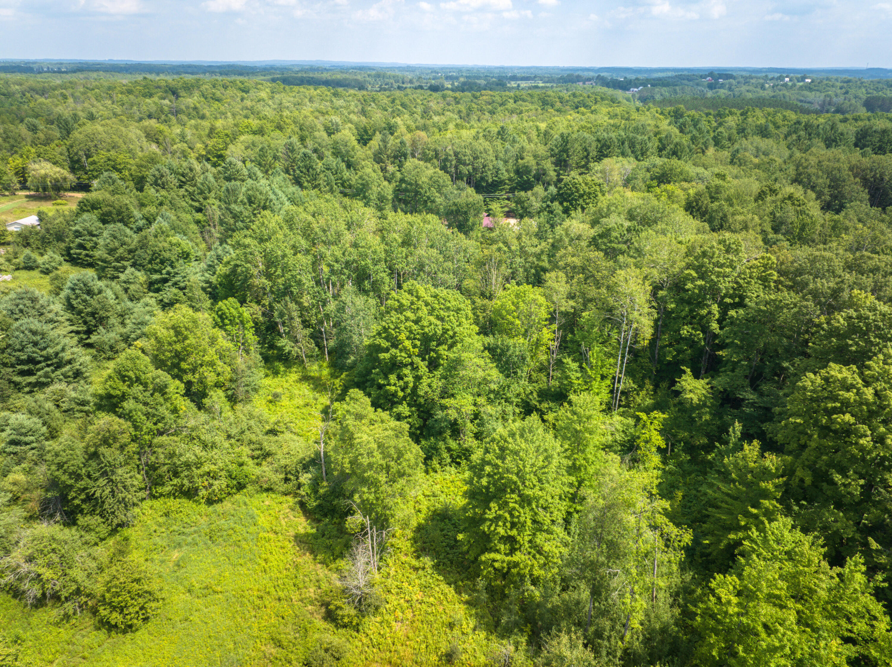 8271 Lakola Road Tustin, MI 49688 - Photo 51 of 52 DJI_20250721042105_0282_D_57