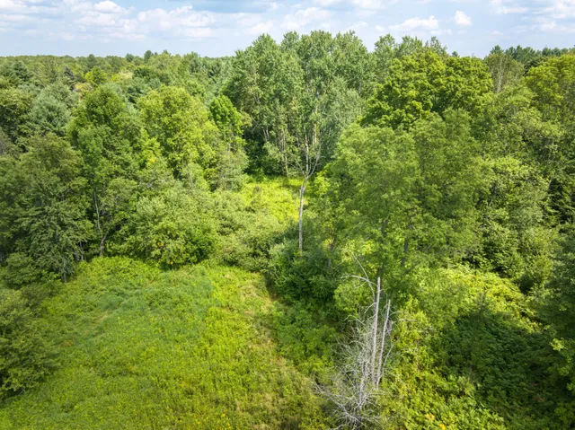 $228,000 | 8271 Lakola Road, Tustin, MI 49688