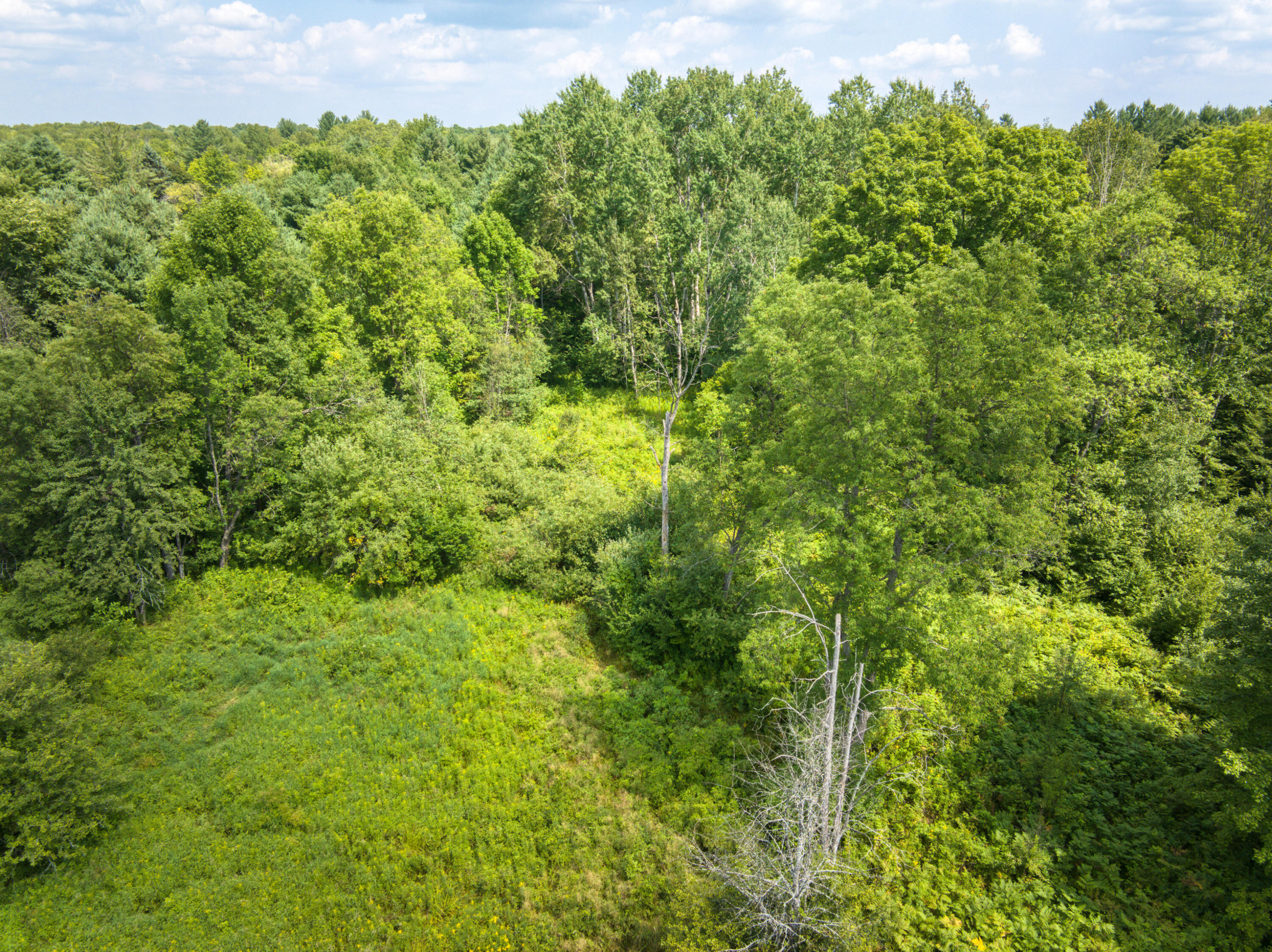 8271 Lakola Road Tustin, MI 49688 - Photo 52 of 52 DJI_20250721042122_0287_D_58