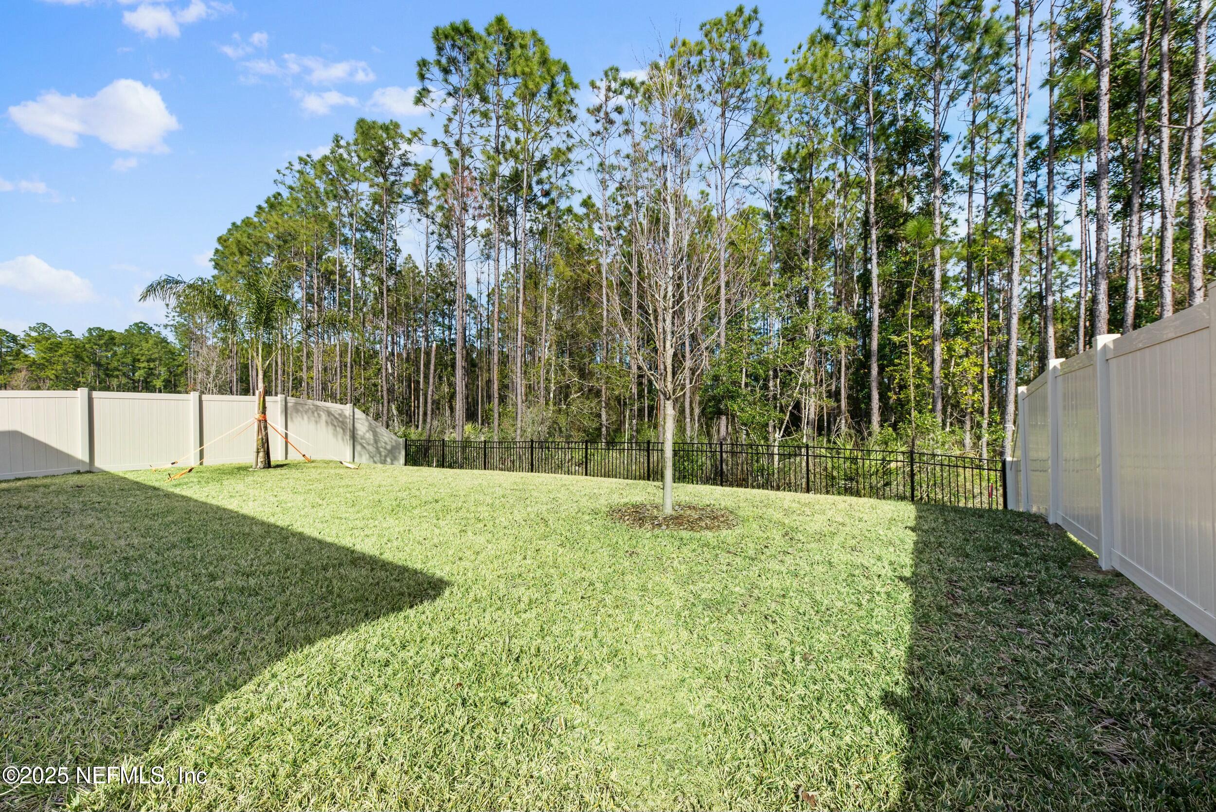 71 Blue Cypress Trail St. Augustine, FL 32084 - Photo 27 of 28 a view of a backyard with a plants and trees