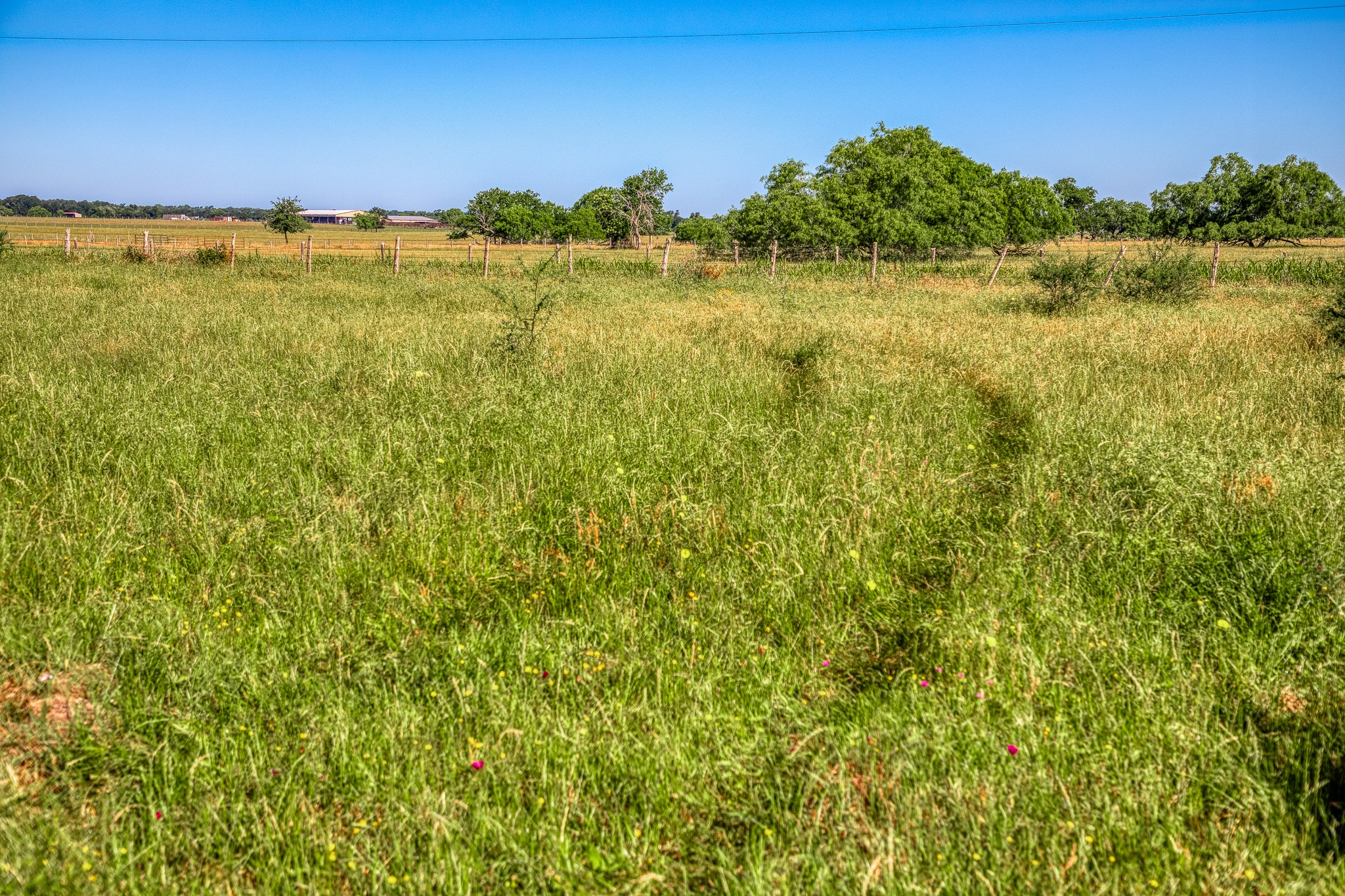0 Flat Prairie Road Washington, TX 77880 - Photo 14 of 19