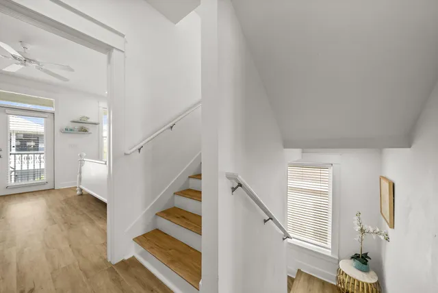 a aerial view of a house with a yard plants and large tree